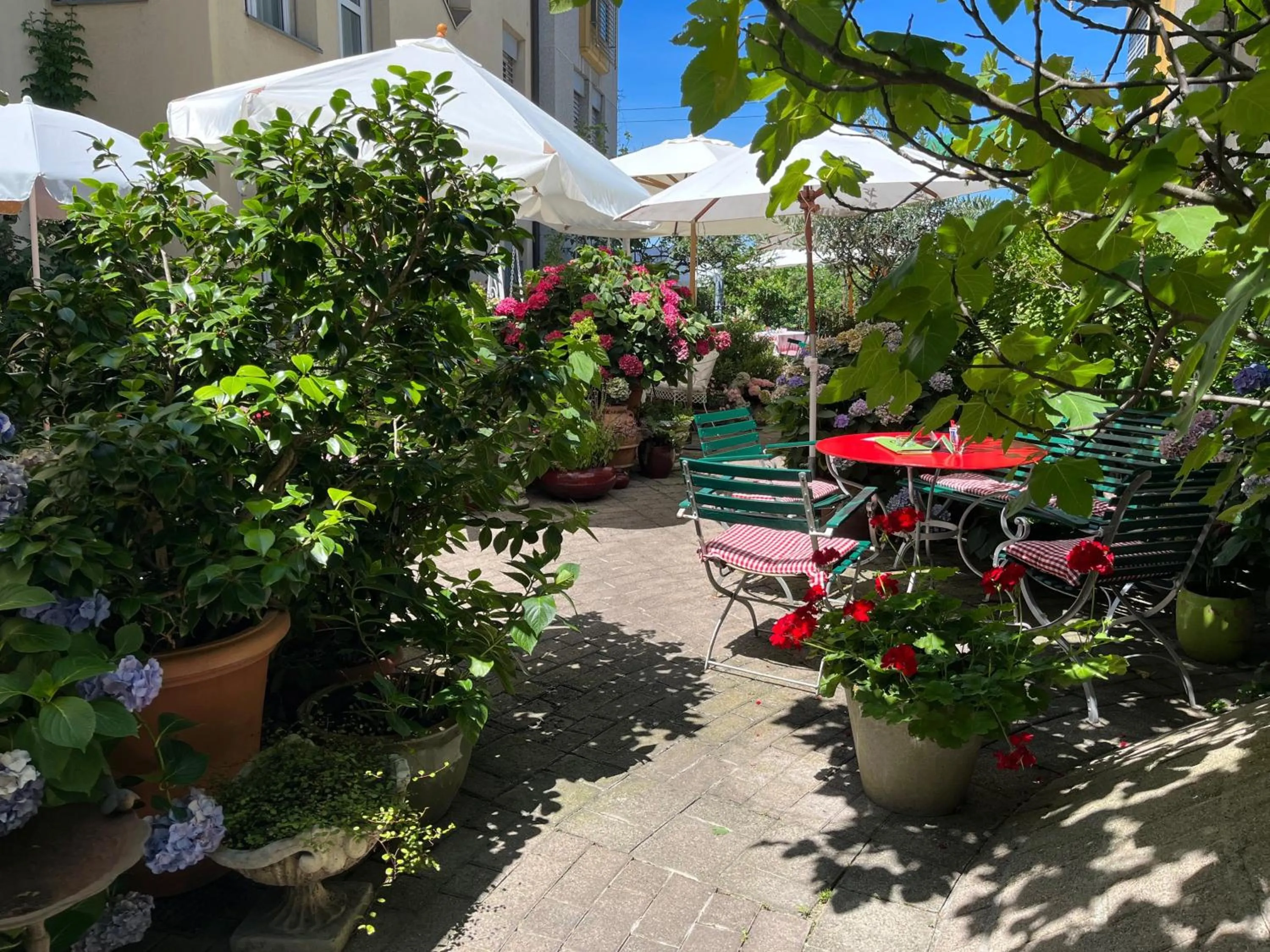 Garden in Hotel Mozart