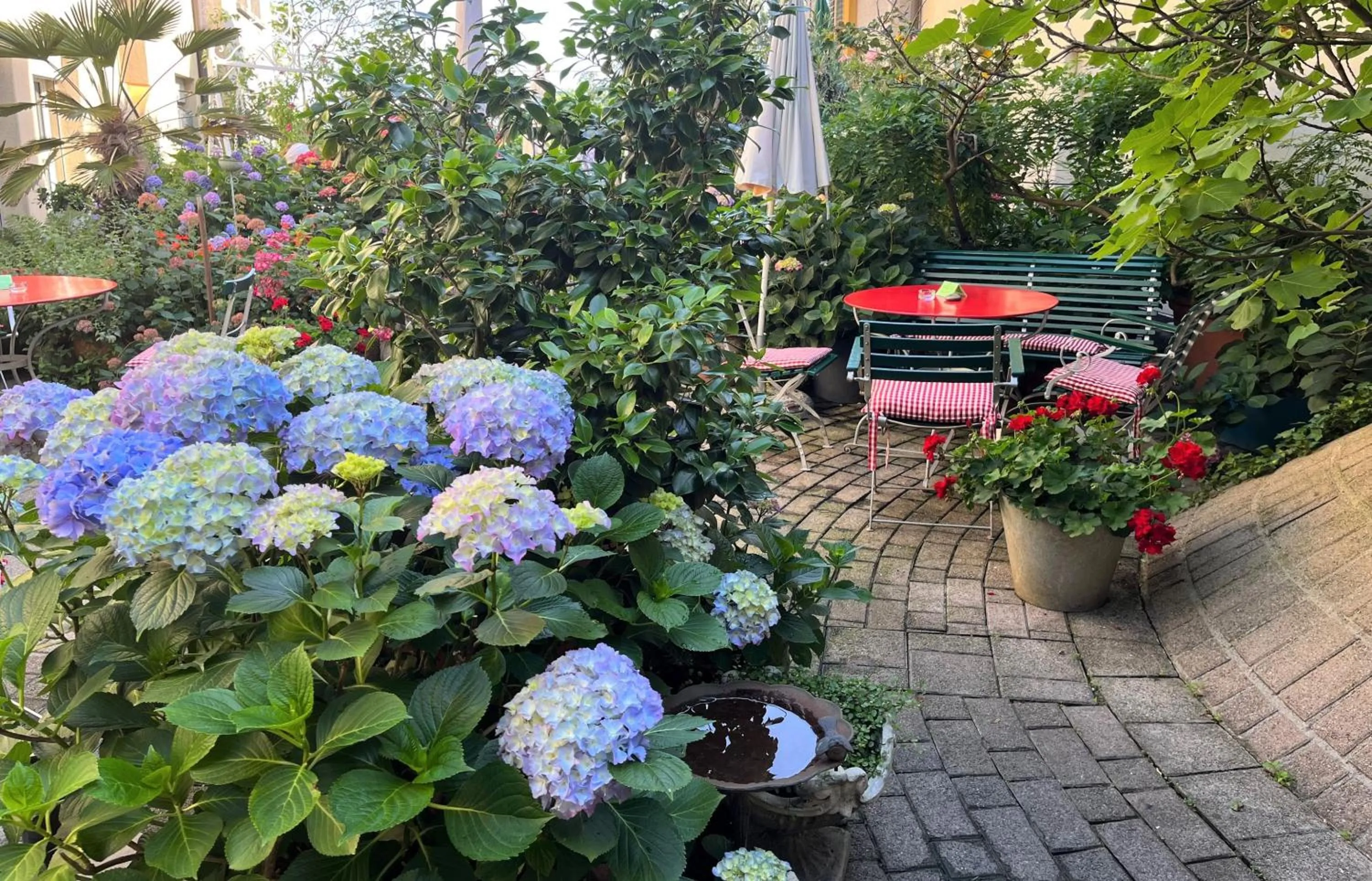 Garden in Hotel Mozart