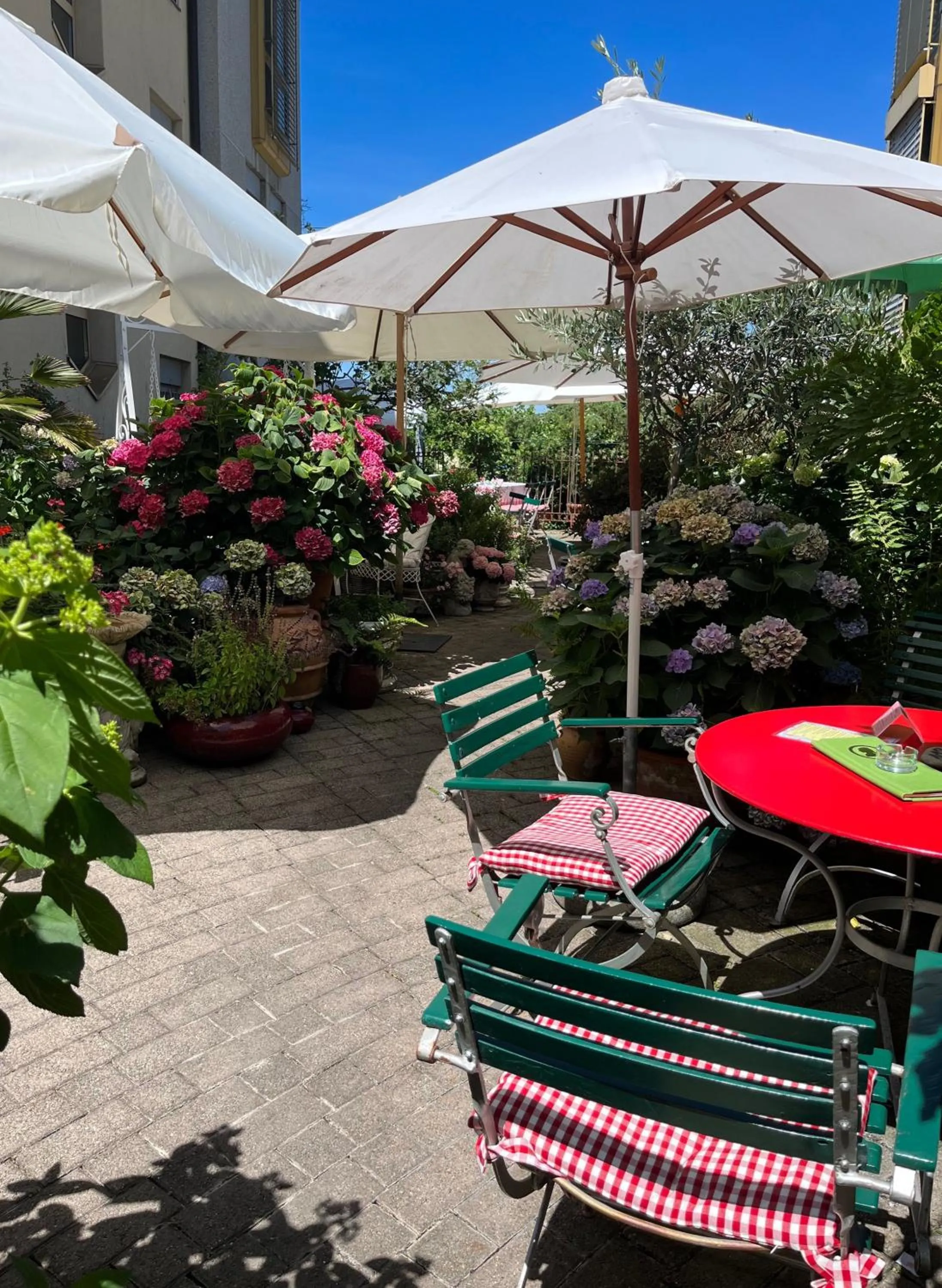 Garden in Hotel Mozart