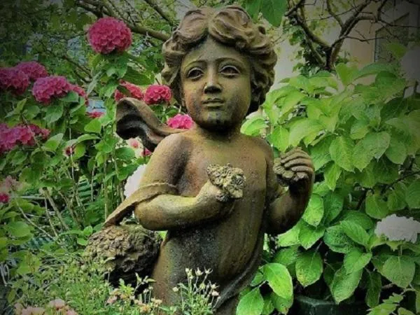 Garden in Hotel Mozart