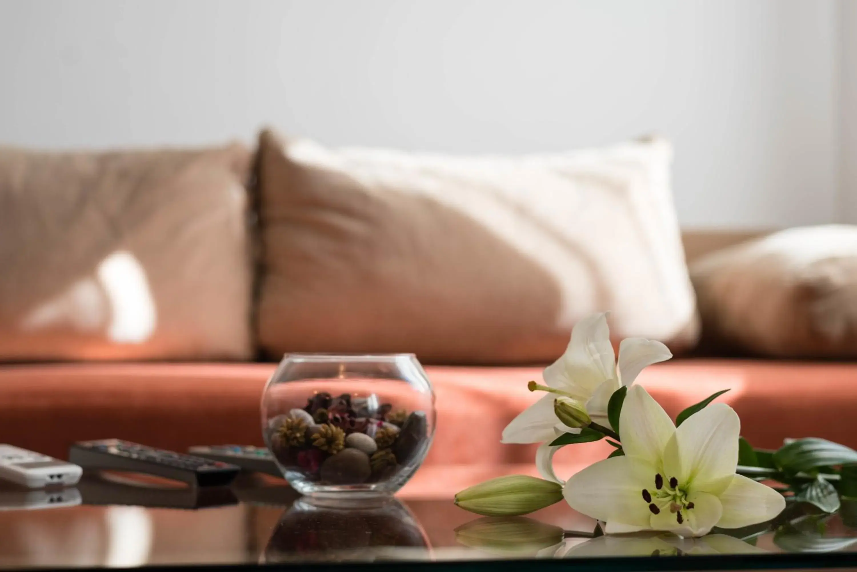 Living room in Villa Sv. Petar Living room in Villa Sv. Petar