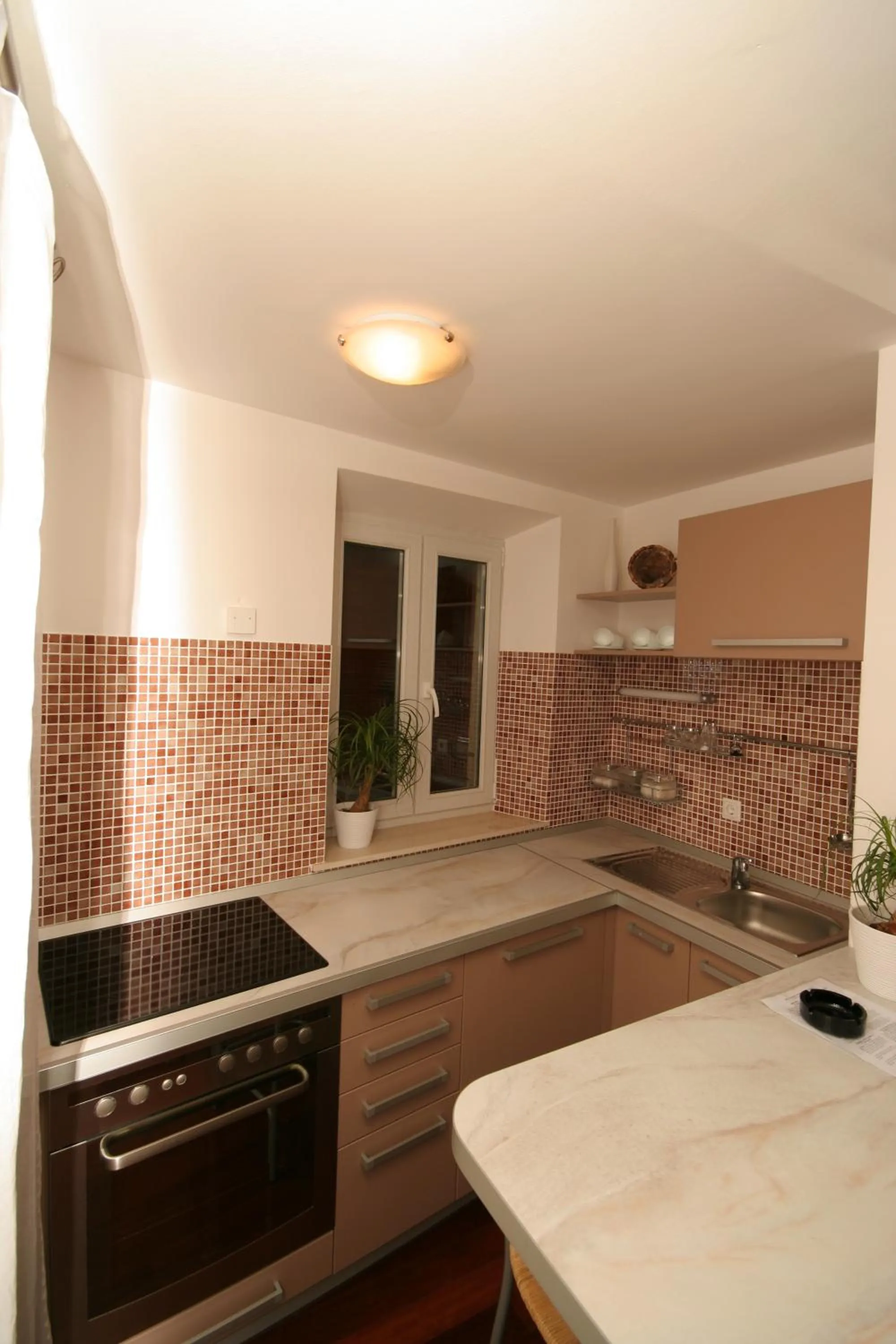 Kitchen or kitchenette in Villa Sv. Petar