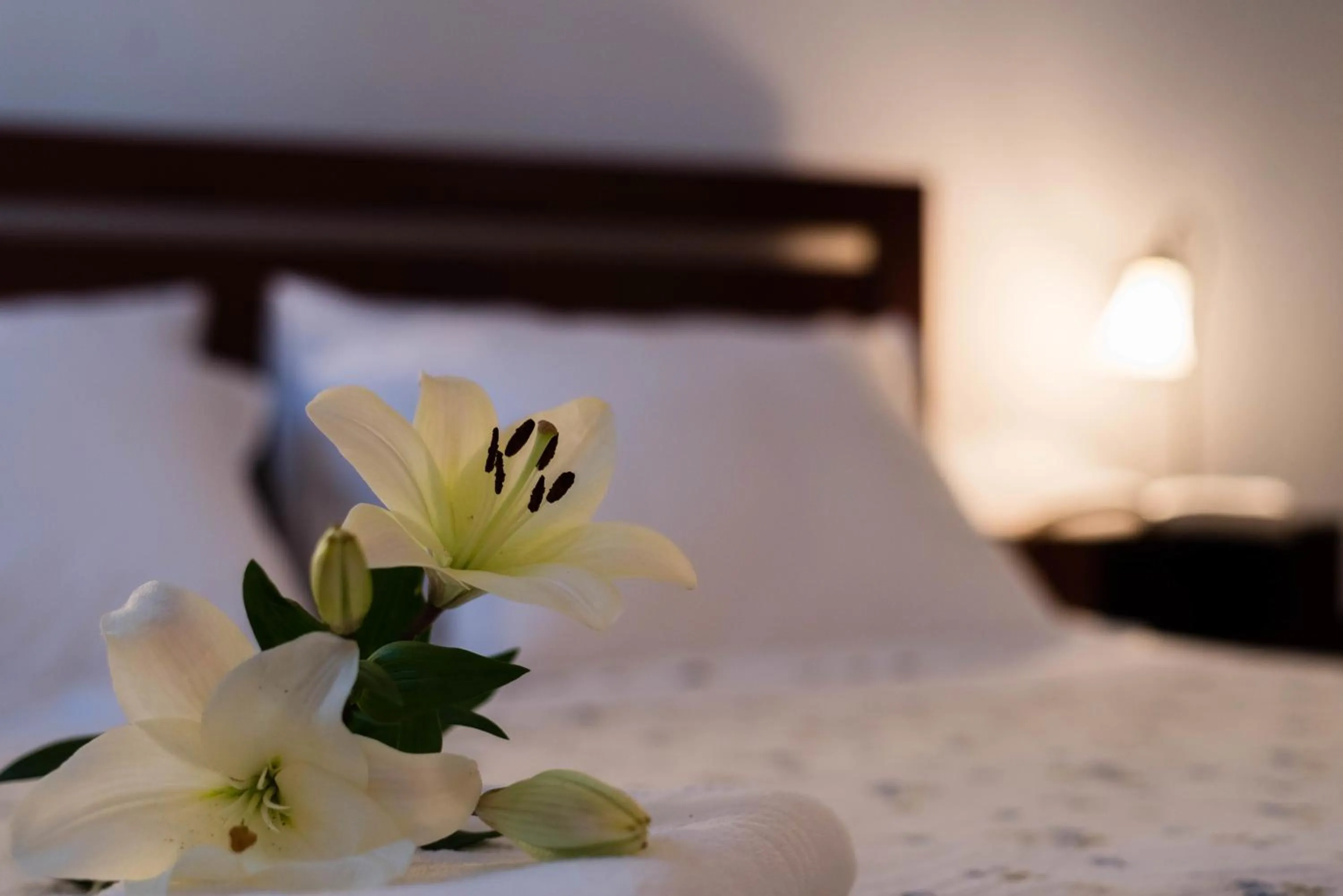 Bed in Villa Sv. Petar