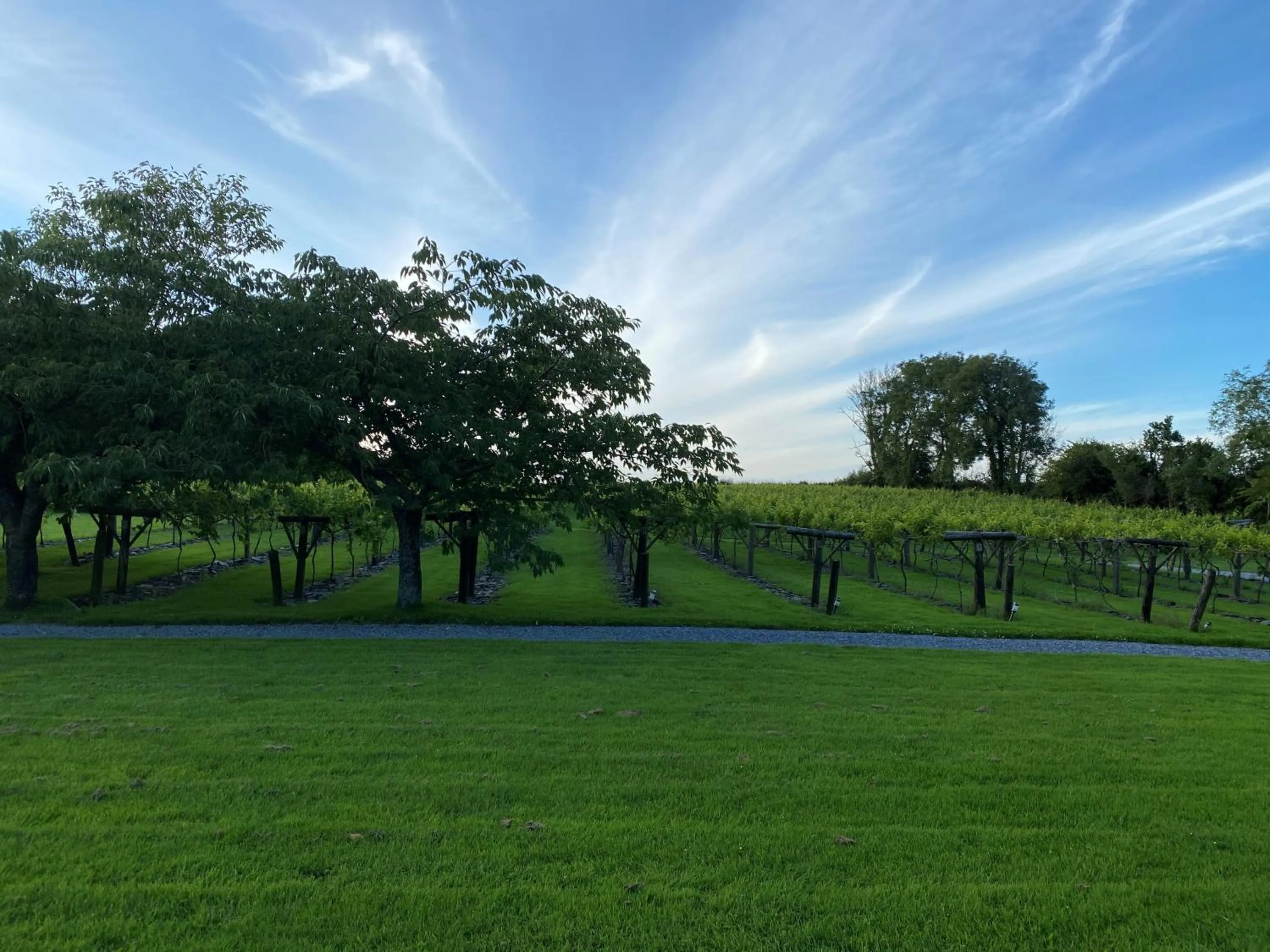 Jabajak Vineyard Restaurant & Rooms