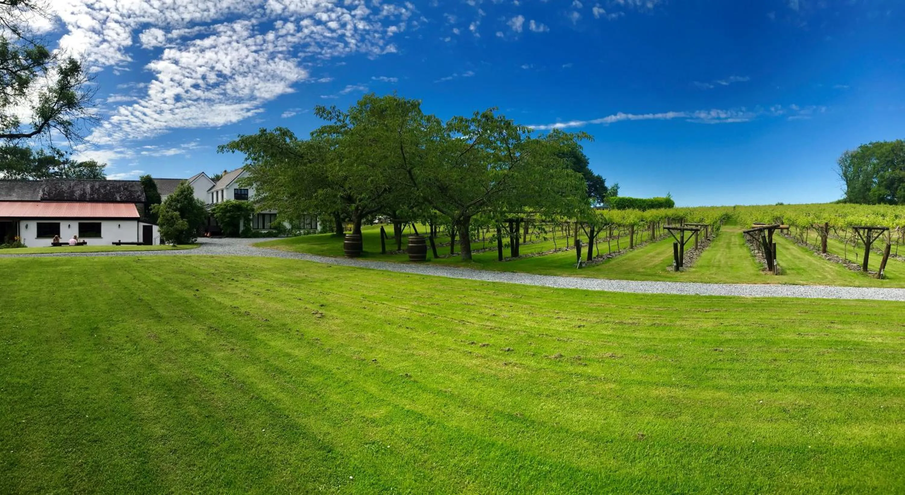 Garden in Jabajak Vineyard Restaurant & Rooms