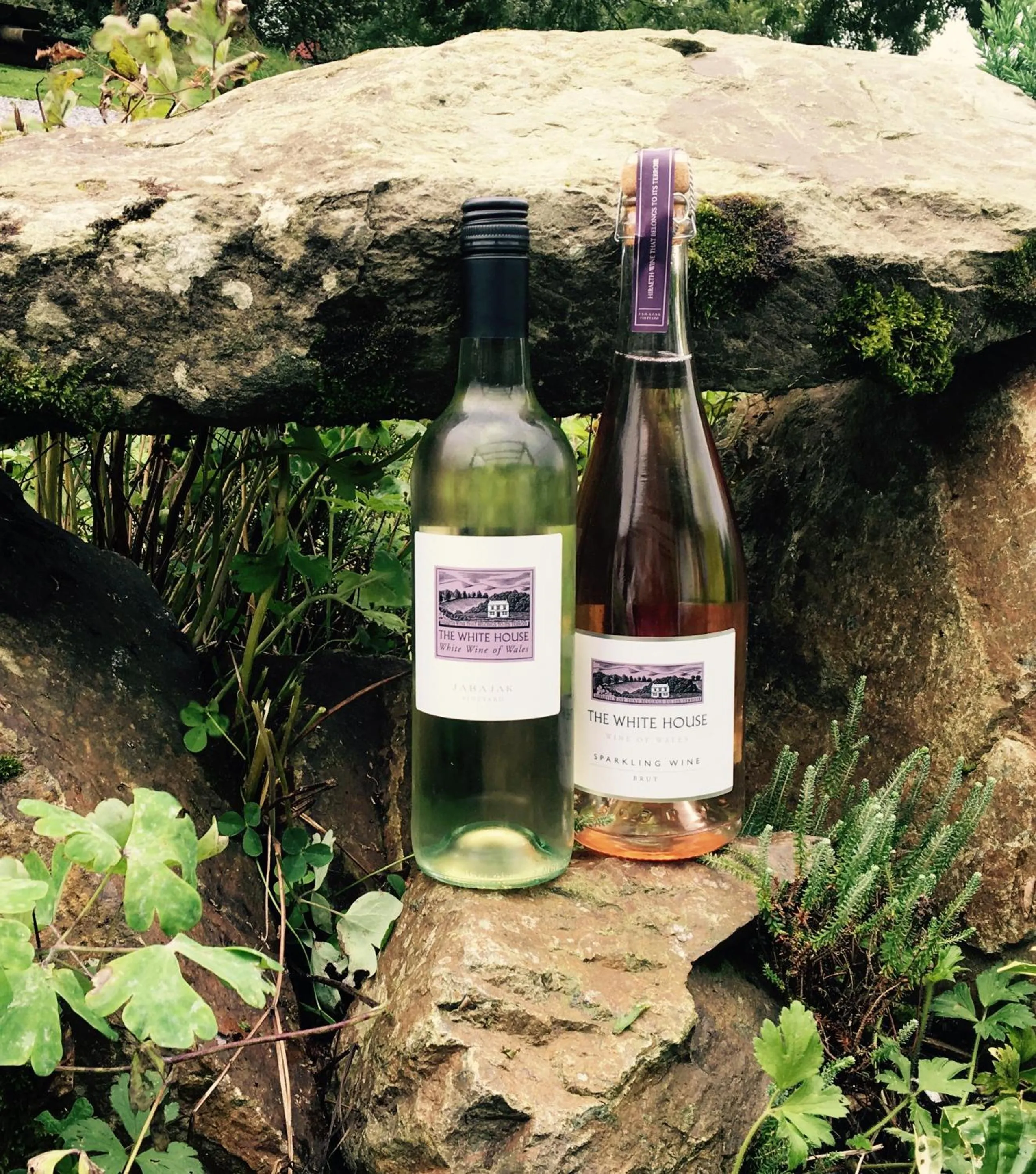 Jabajak Vineyard Restaurant & Rooms