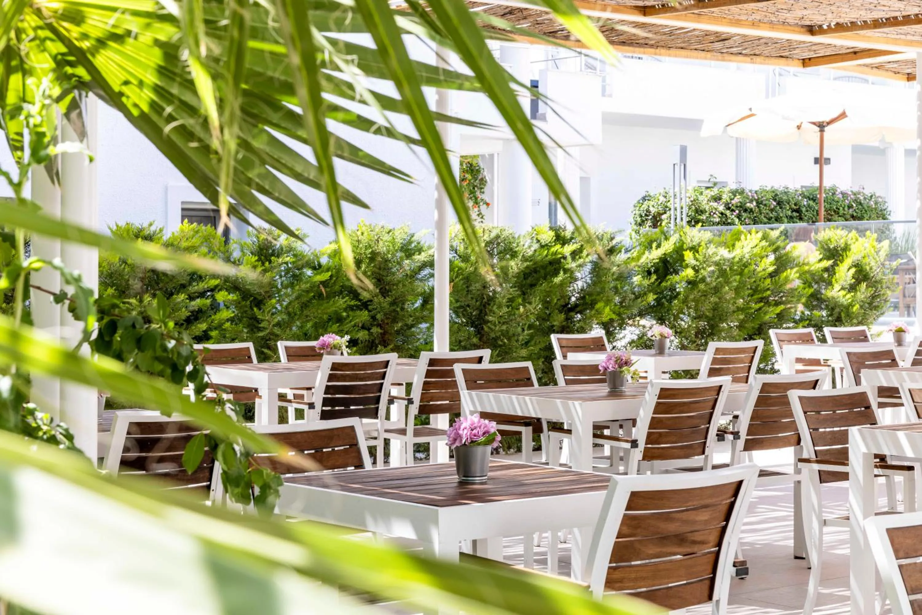 Restaurant/places to eat in Costa Maya Bodrum