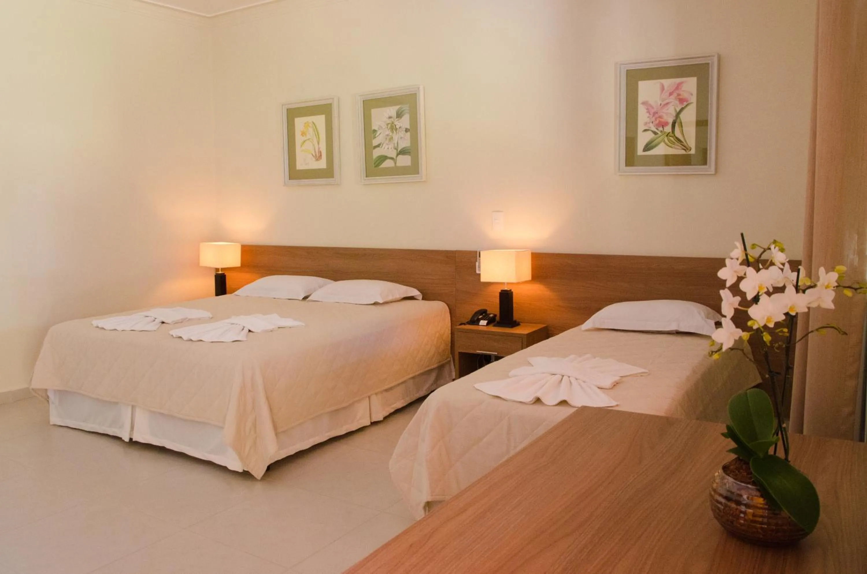 Villa de Holanda Parque Hotel