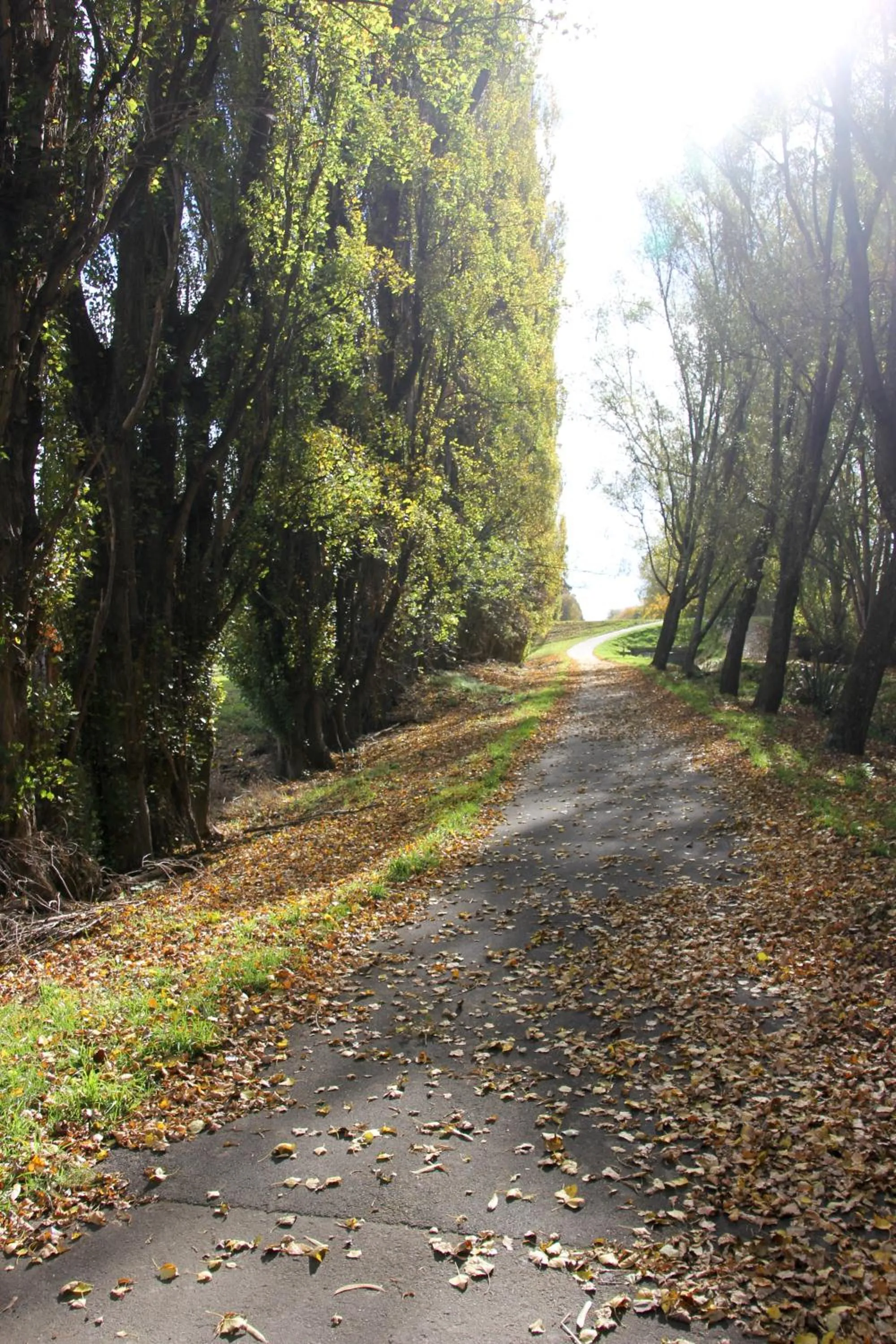 Natural landscape in Refreshstay