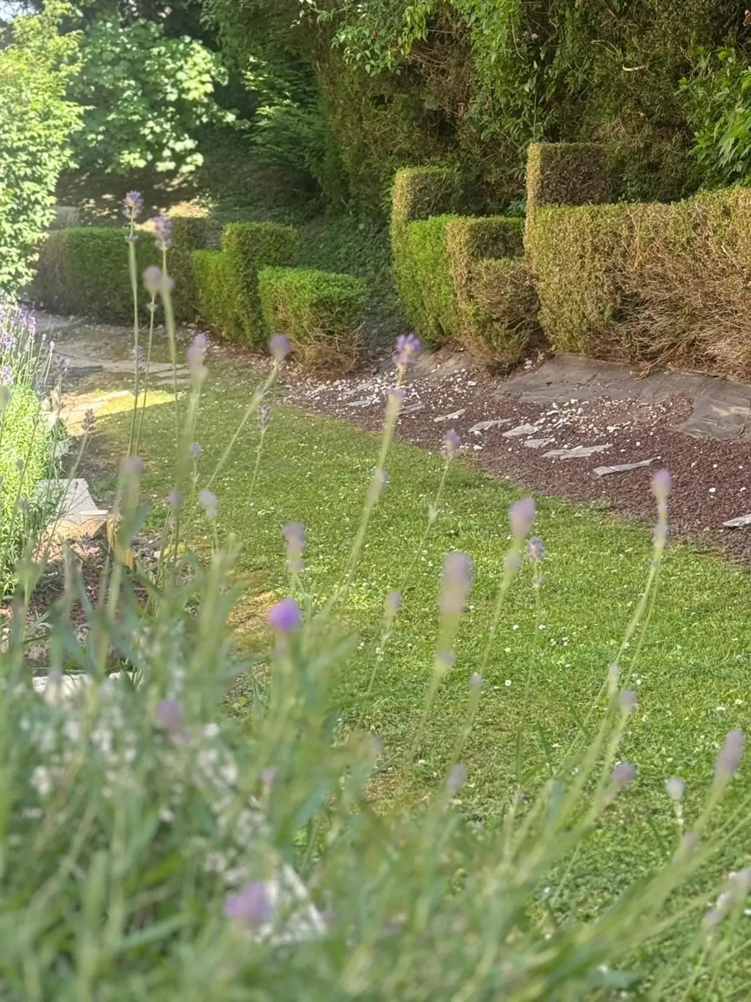 Garden view in Kyriad Epernay Garden view in Kyriad Epernay