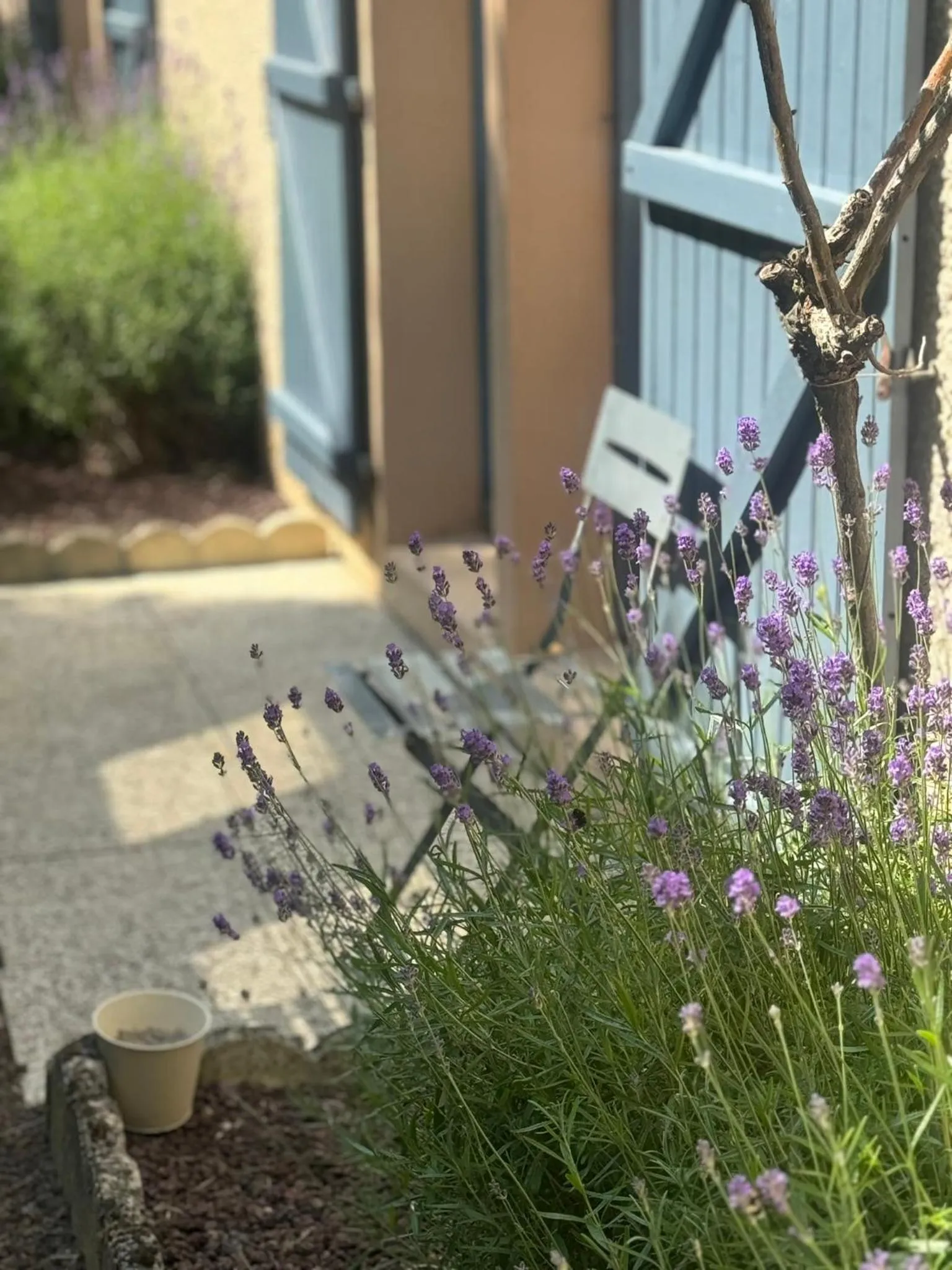 Property building in Kyriad Epernay