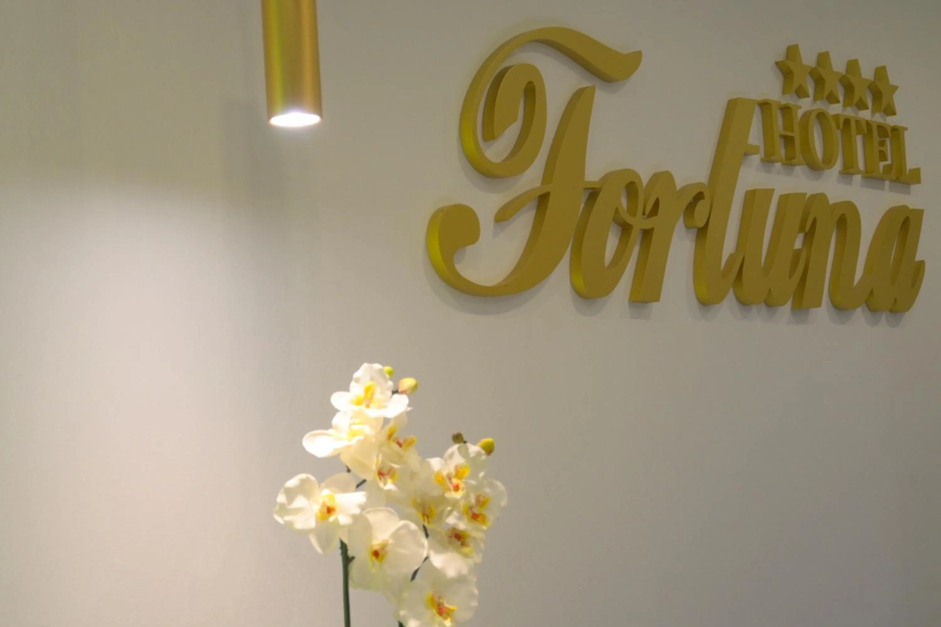 Lobby or reception in Hotel Fortuna