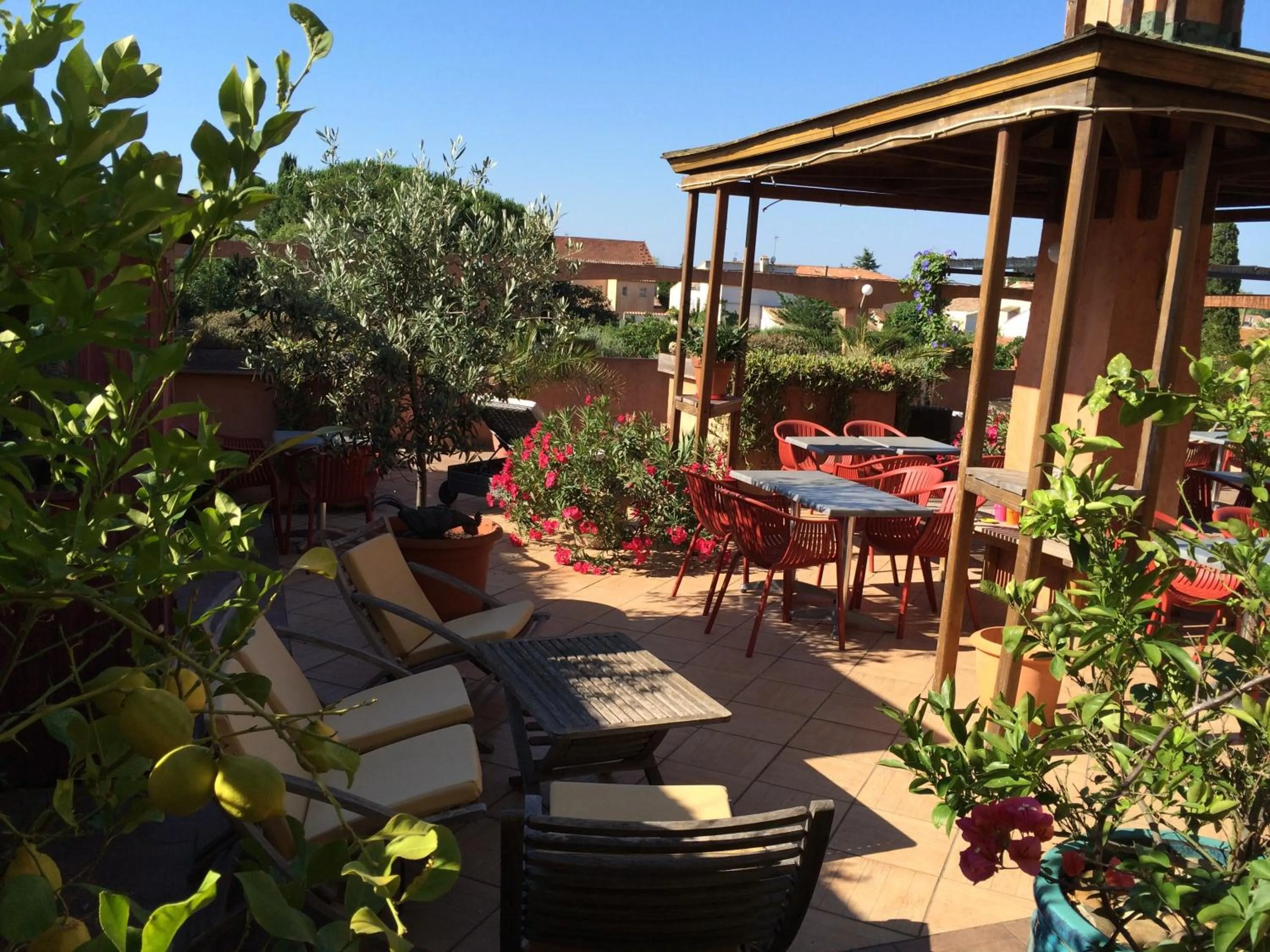 Garden in Hôtel Le Gambetta