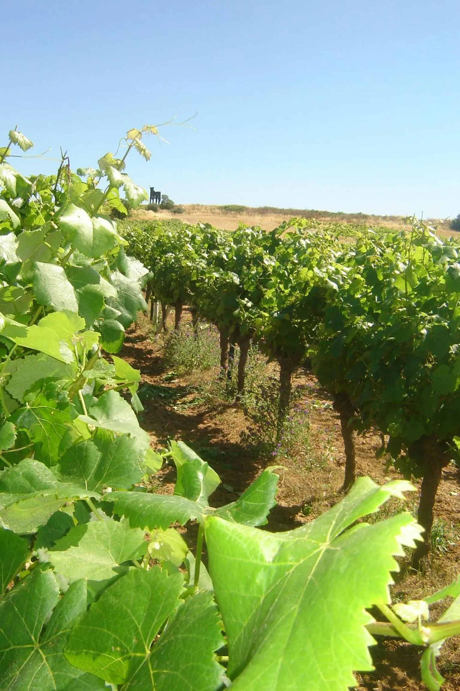 Area and facilities in Hôtel Le Gambetta