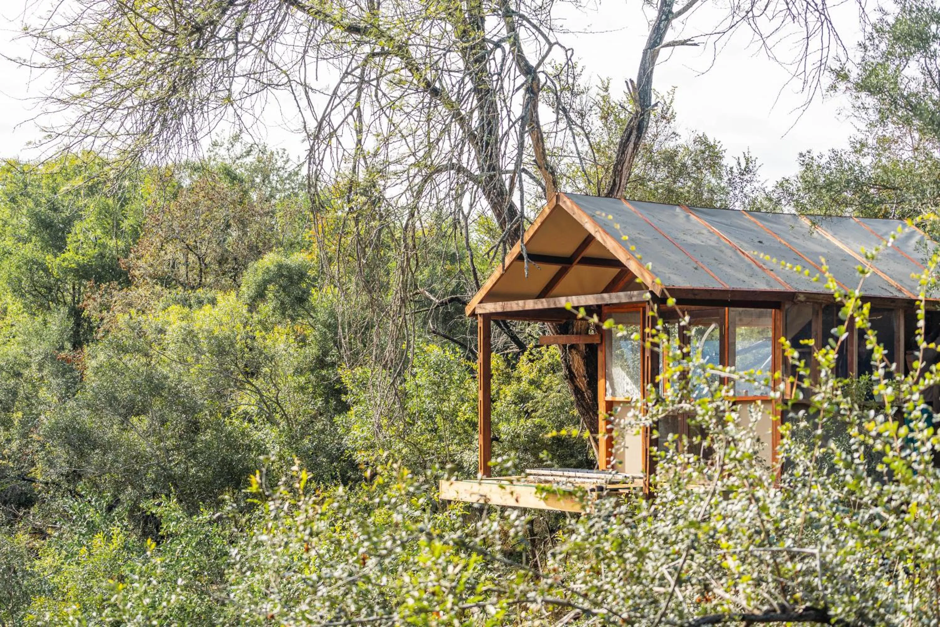 Ndzhaka Tented Camp