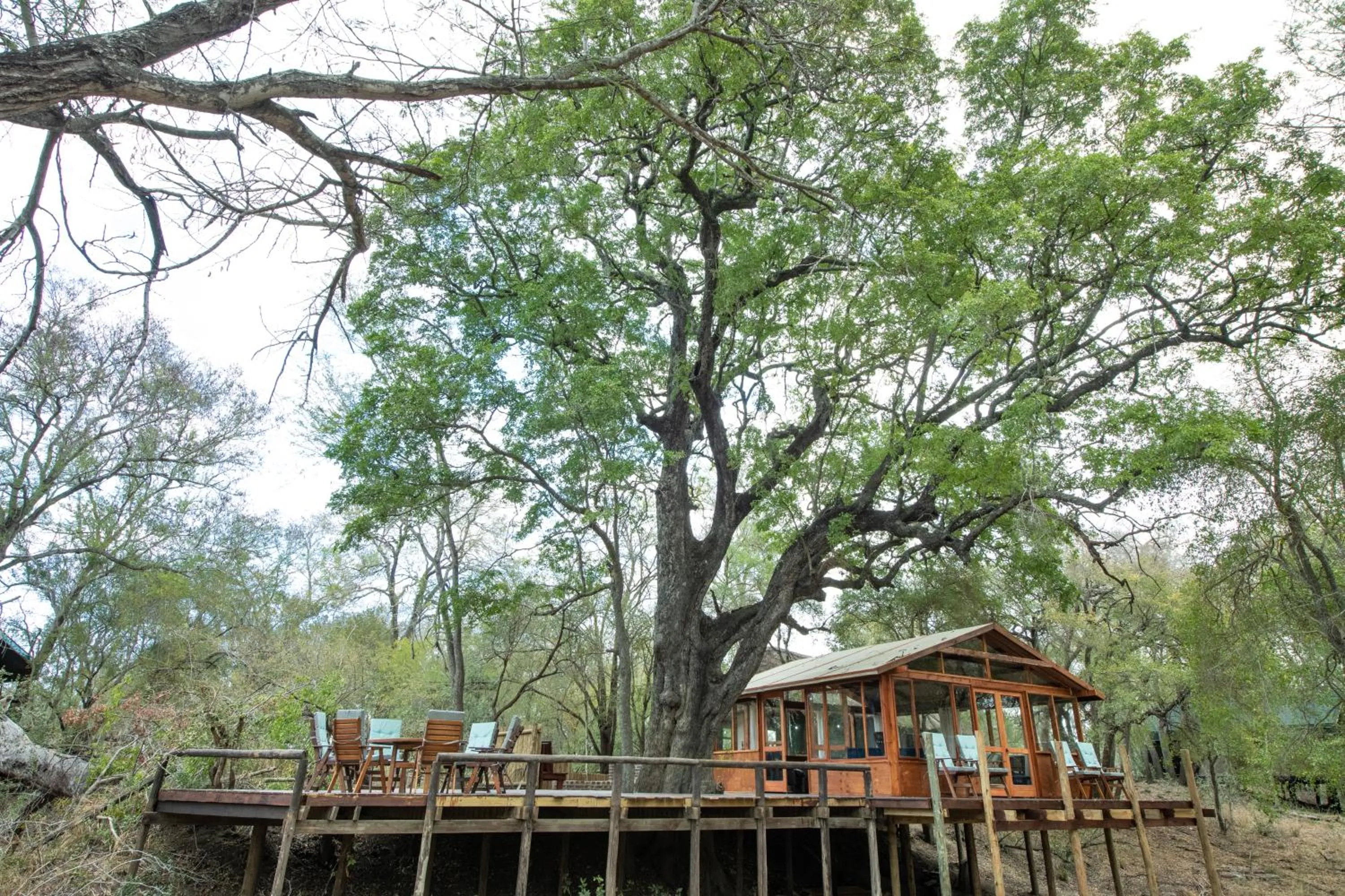 Ndzhaka Tented Camp