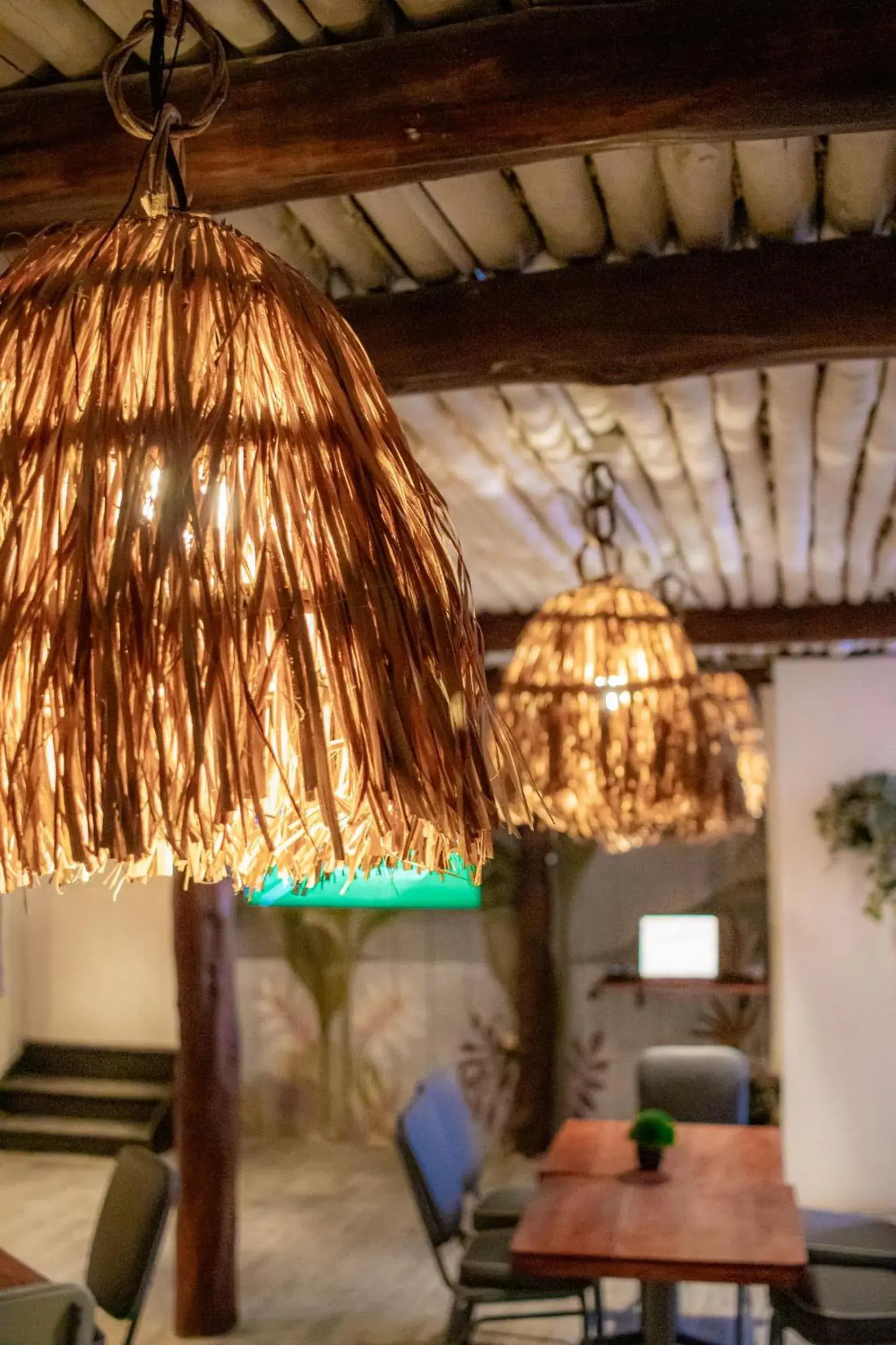 Restaurant/places to eat in Amaite Holbox - Oceanfront Hotel Restaurant/places to eat in Amaite Holbox - Oceanfront Hotel