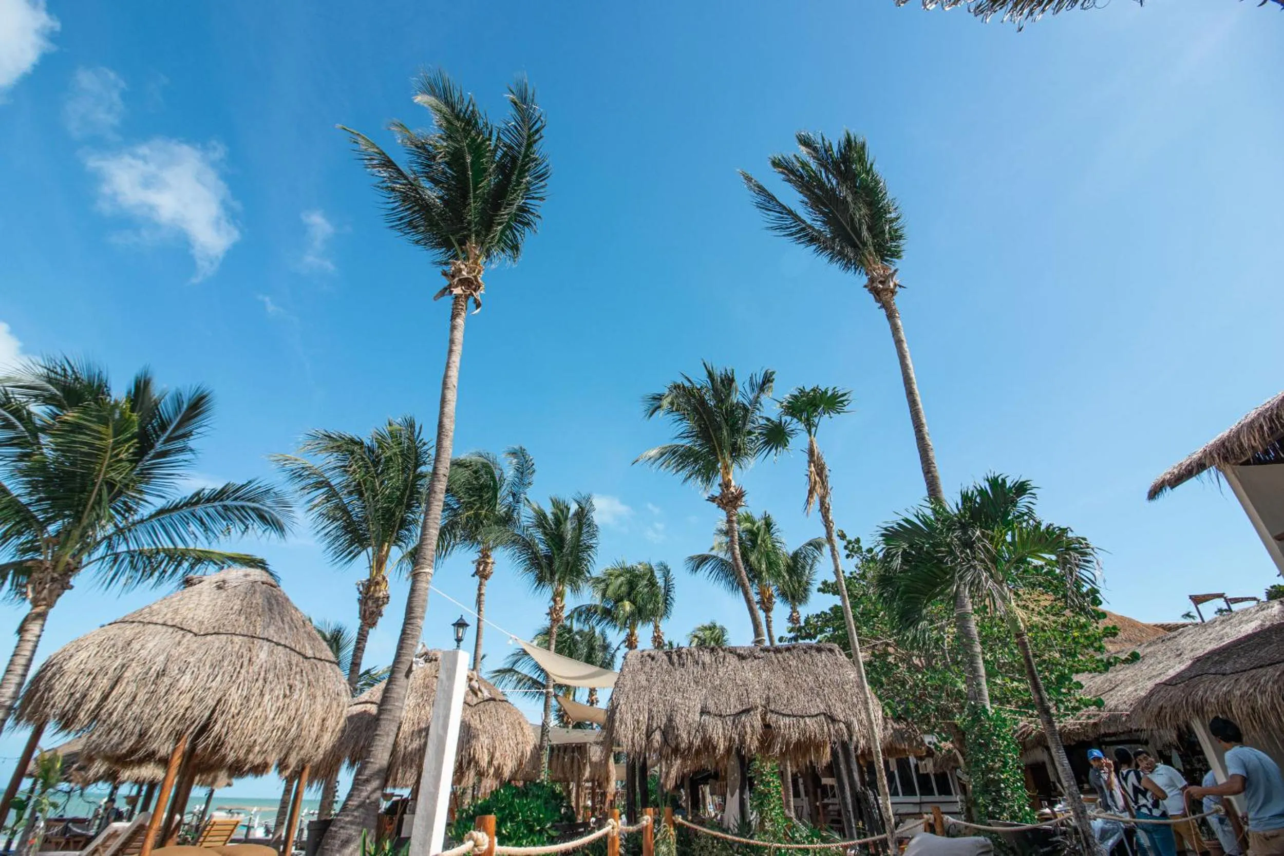 View (from property/room) in Amaite Holbox - Oceanfront Hotel