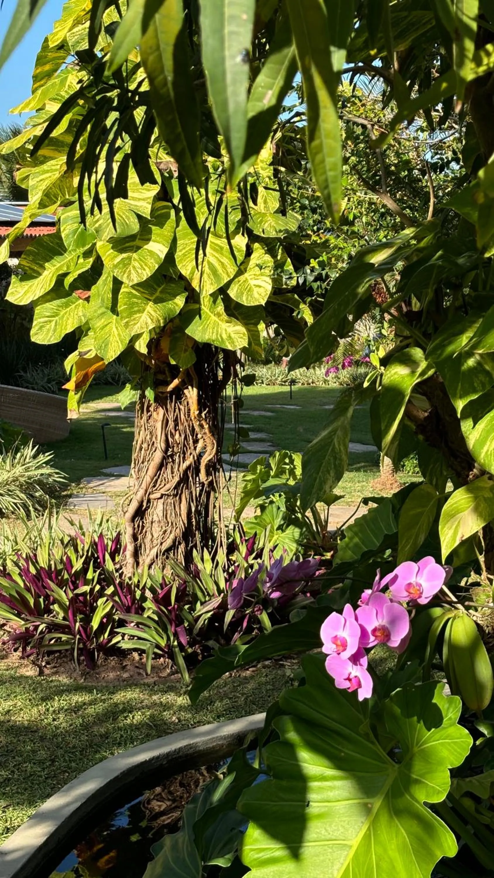 Garden view in Hotel da Pipa