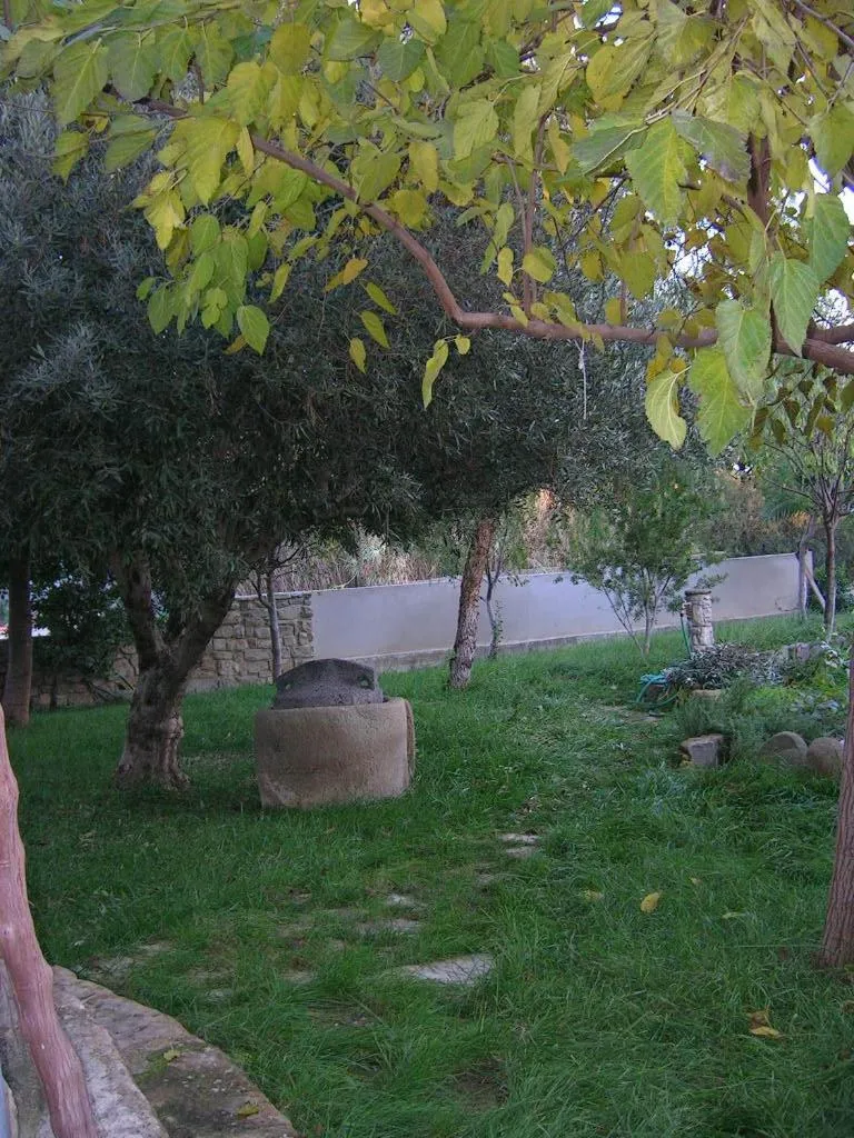 Garden in Sa Domu de sa Contissa