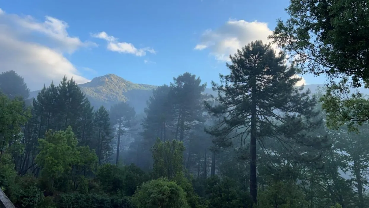 Natural landscape in Auberge des Deux Sorru