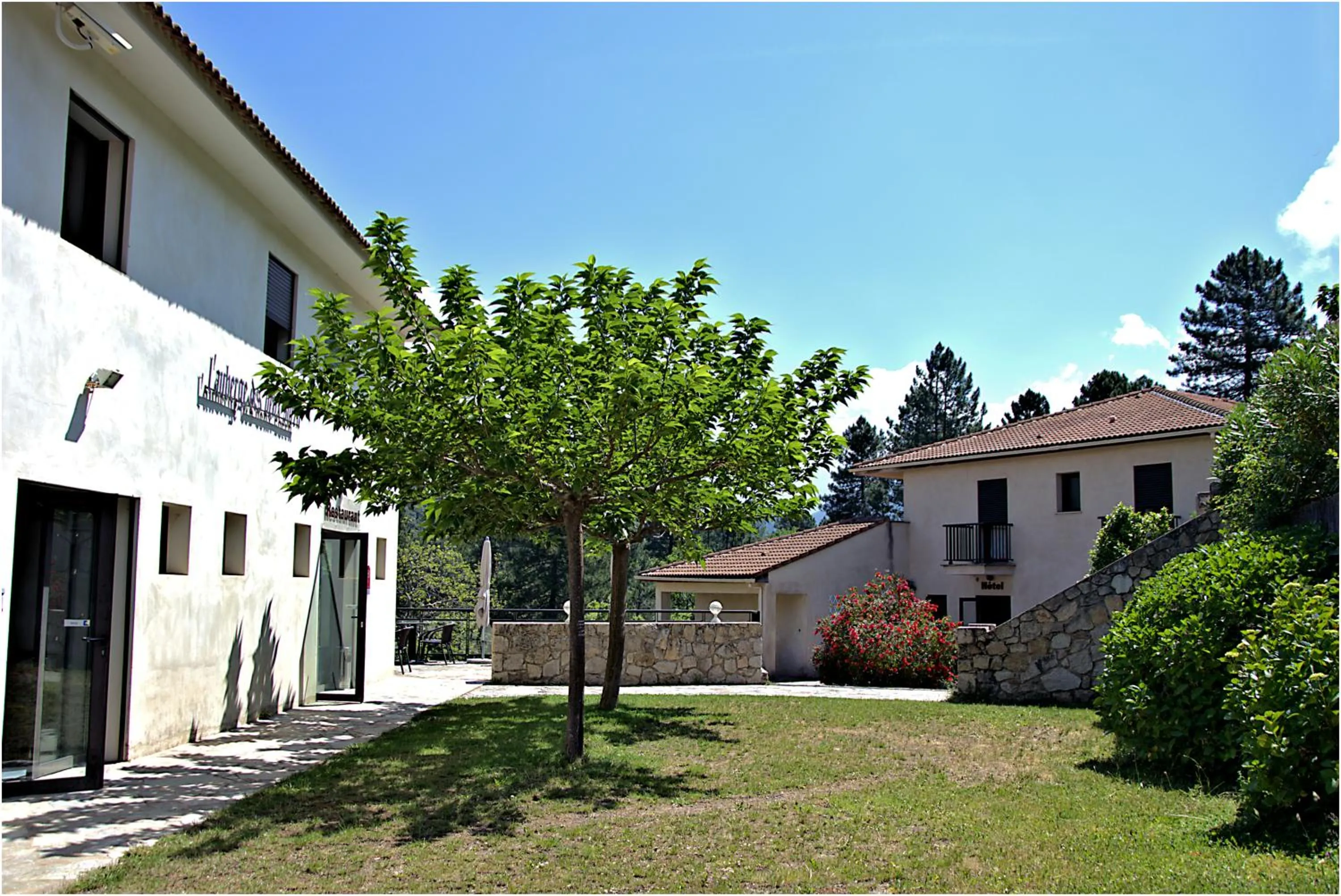 Restaurant/places to eat in Auberge des Deux Sorru