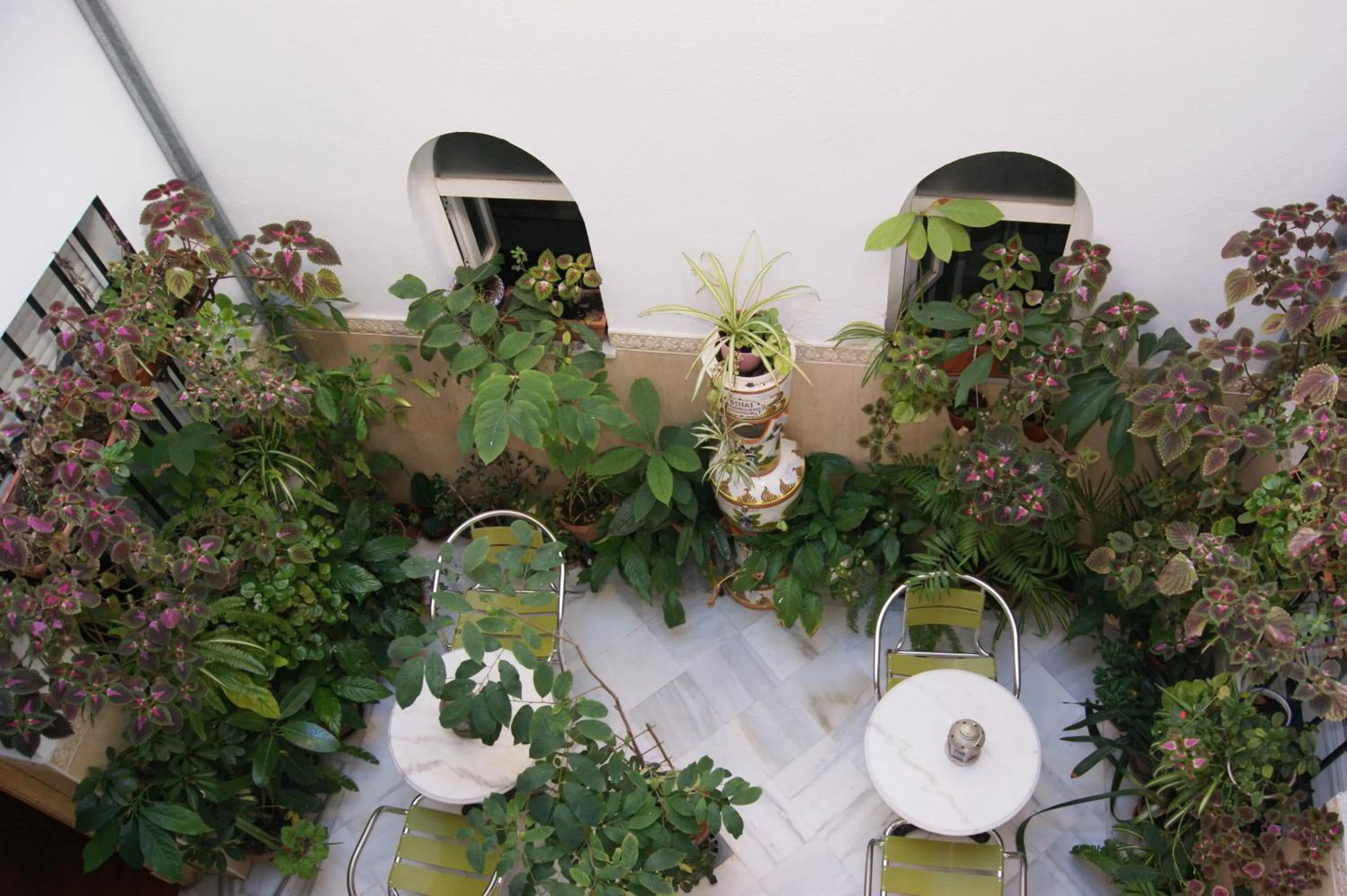 Patio in Hostal Alcazar I