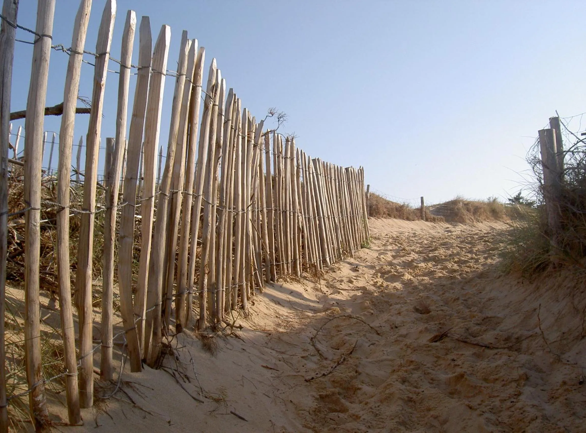 Beach in Le Figuier