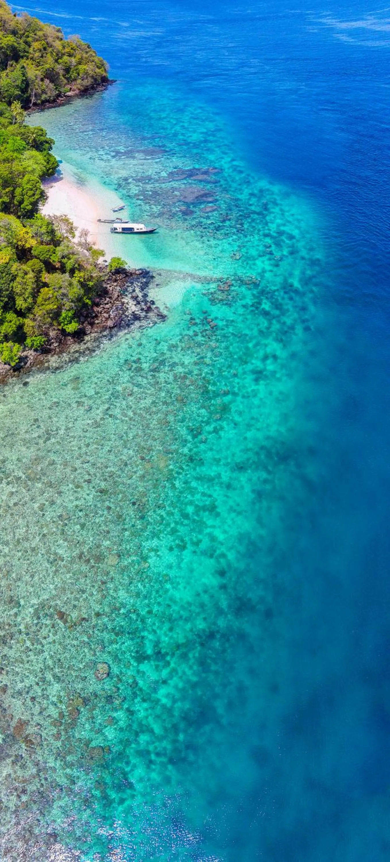 Beach in Murex Bangka Dive Resort
