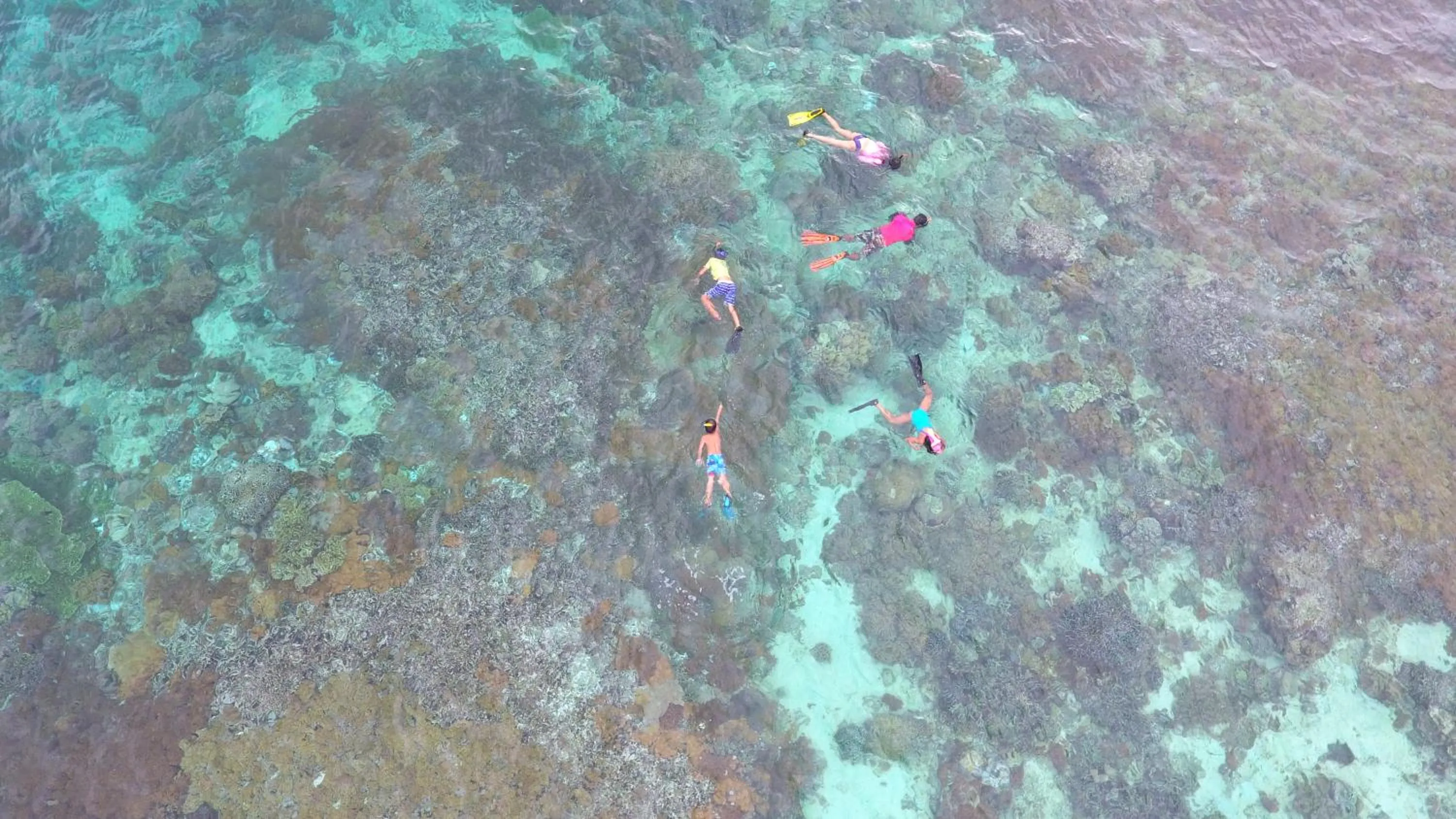 Snorkeling in Murex Bangka Dive Resort