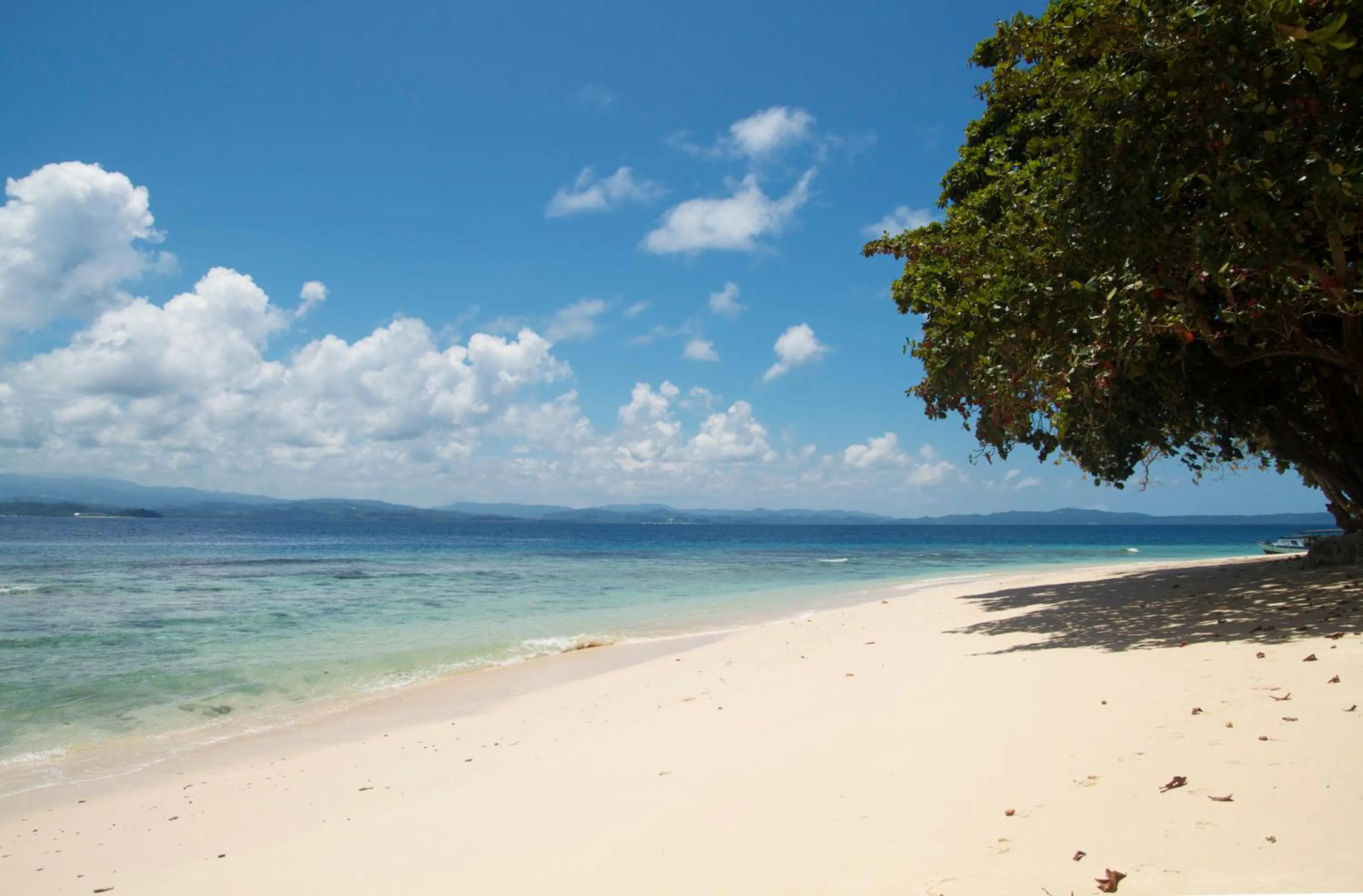 Day in Murex Bangka Dive Resort