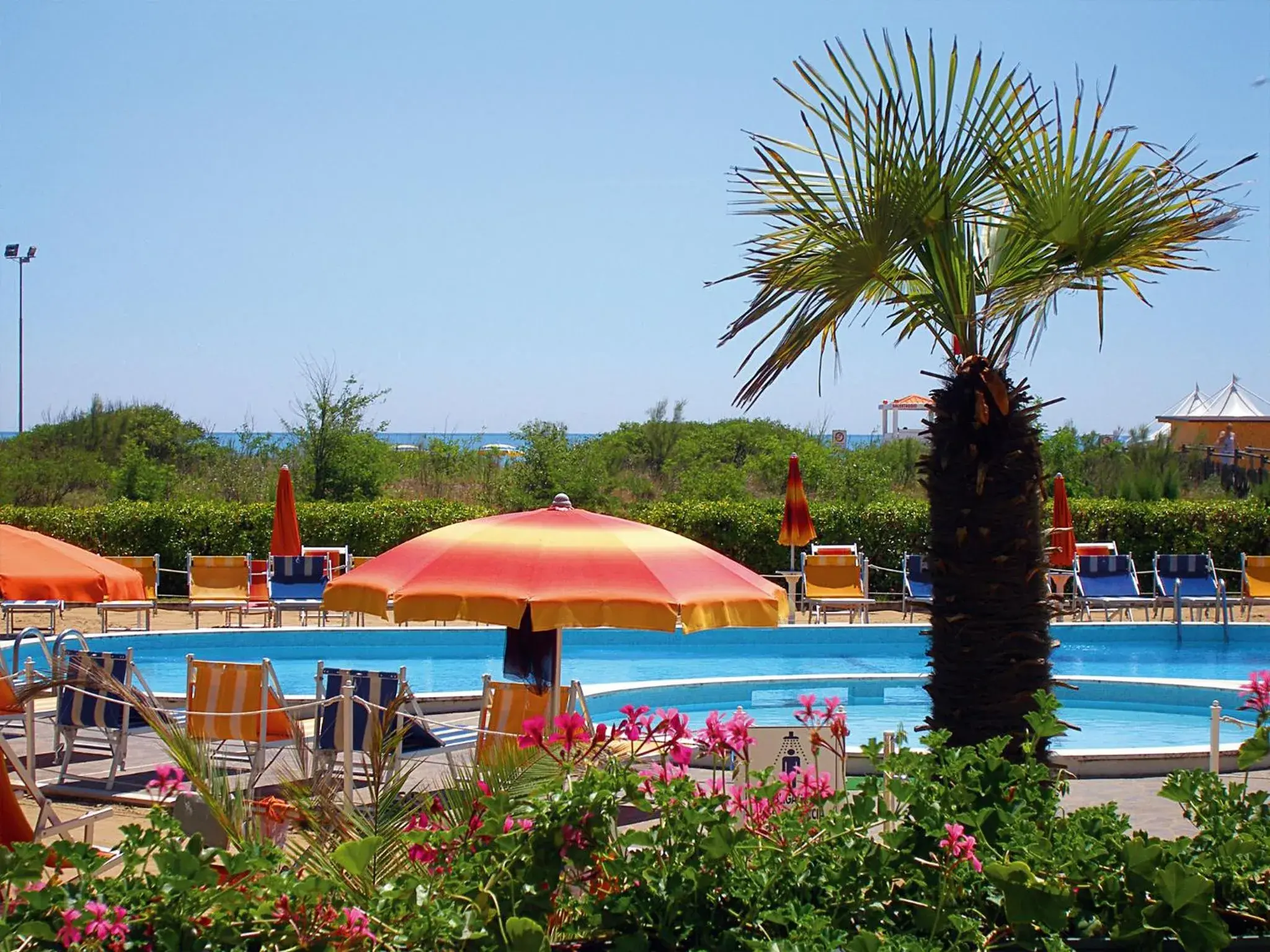 Swimming Pool in Hotel Bertha Fronte Mare