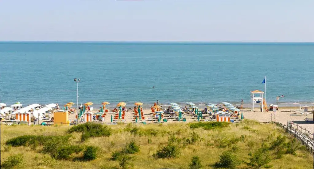 Beach in Hotel Bertha Fronte Mare