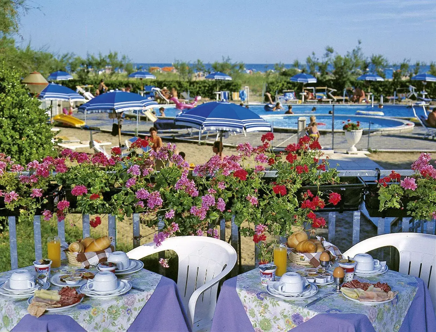Food close-up in Hotel Bertha Fronte Mare