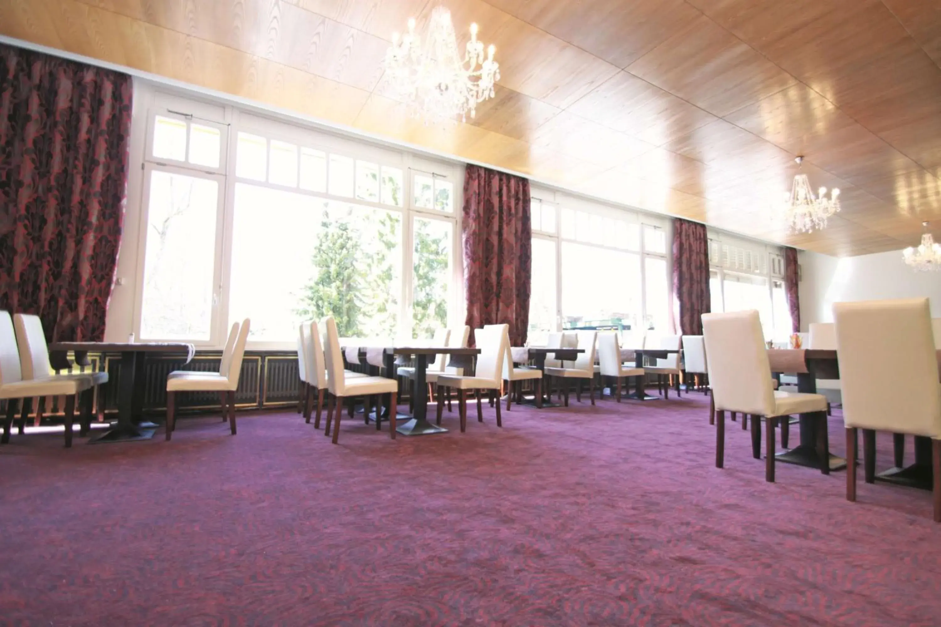 Restaurant/places to eat in Sure Hotel by Best Western Bad Dürrheim Restaurant/places to eat in Sure Hotel by Best Western Bad Dürrheim