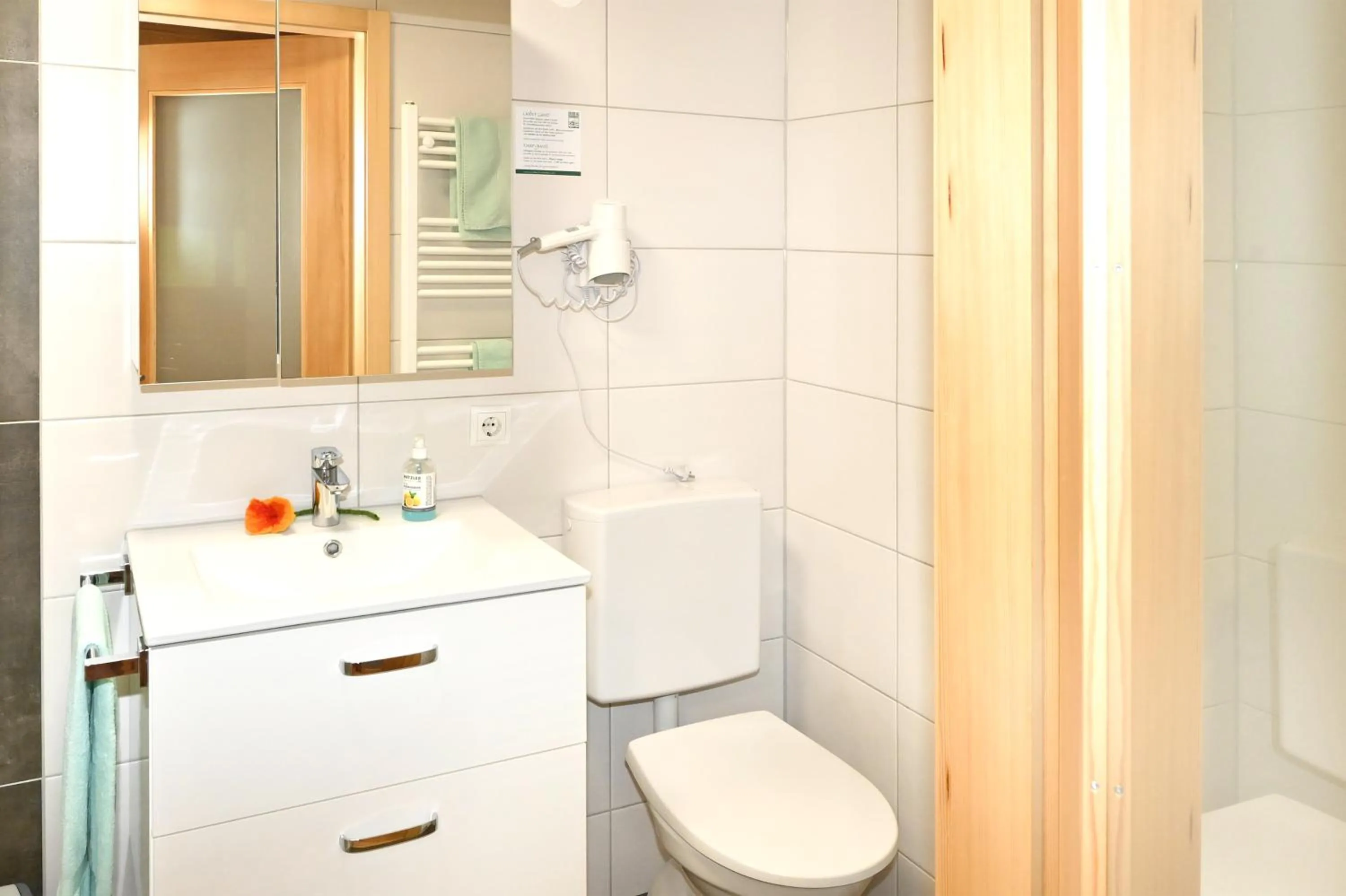 Toilet in Bauernhof Bilgeri