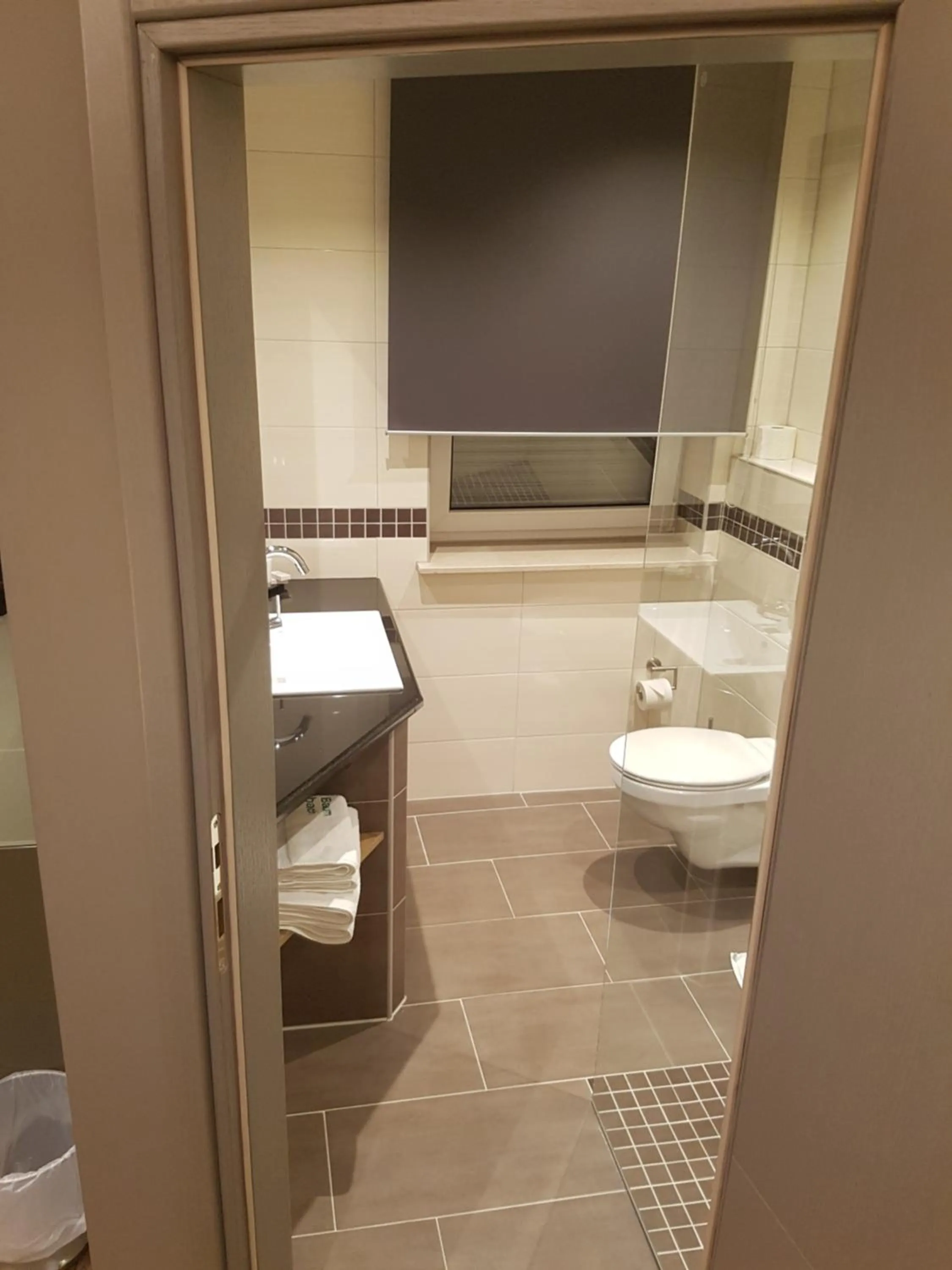 Shower in Zum grünen Baum Hotel Frankfurt Airport