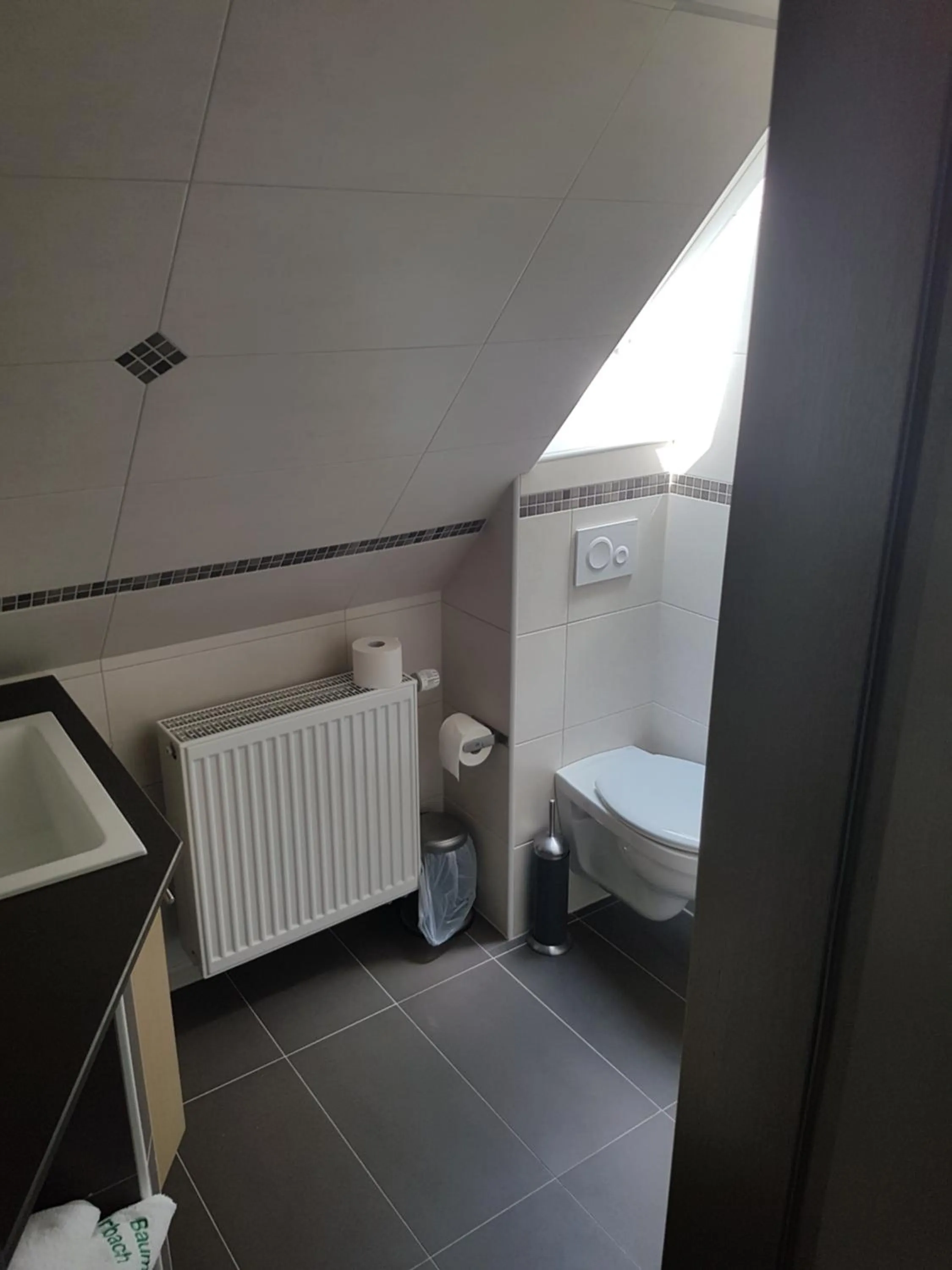 Toilet, Bed in Zum grünen Baum Hotel Frankfurt Airport