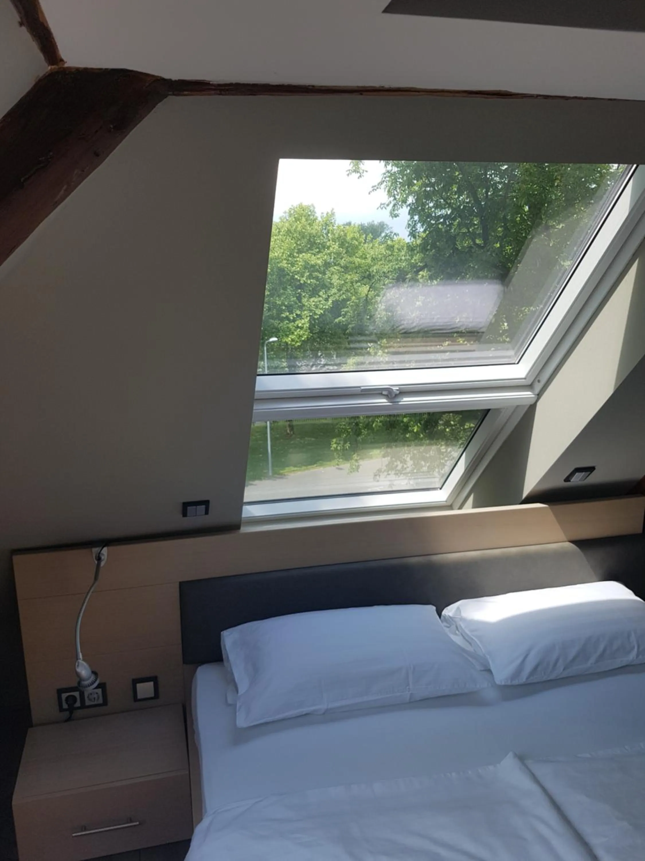 Garden view, Bed in Zum grünen Baum Hotel Frankfurt Airport