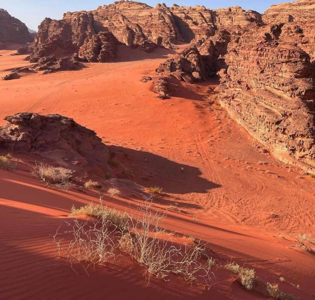 Natural landscape in Captains Desert Camp
