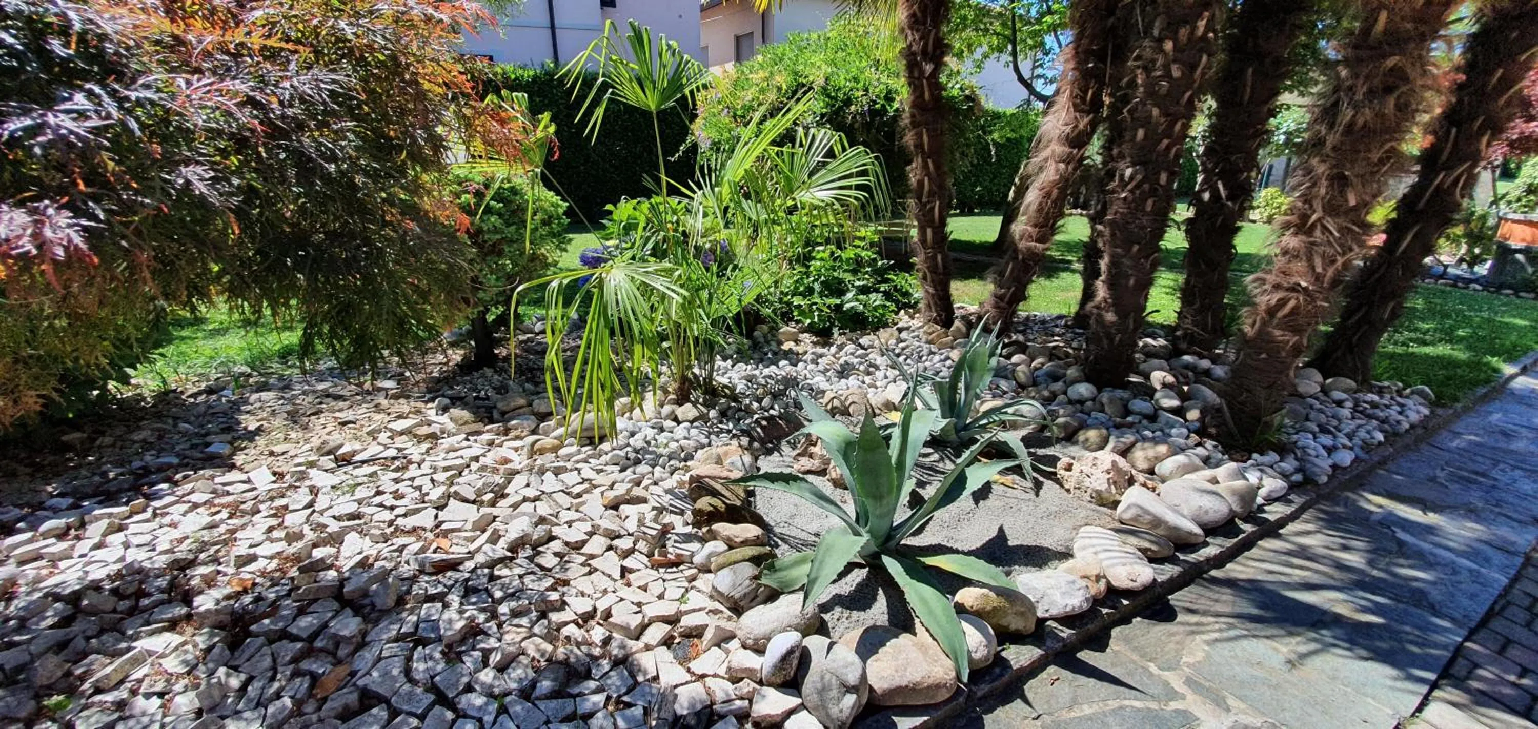 Natural landscape in B&B Le Palme