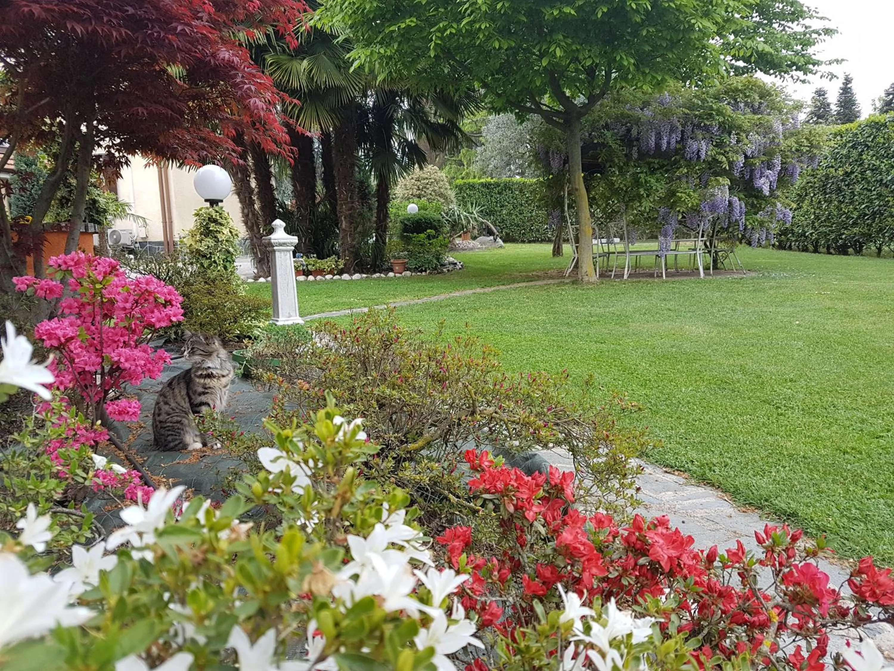 Garden view in B&B Le Palme