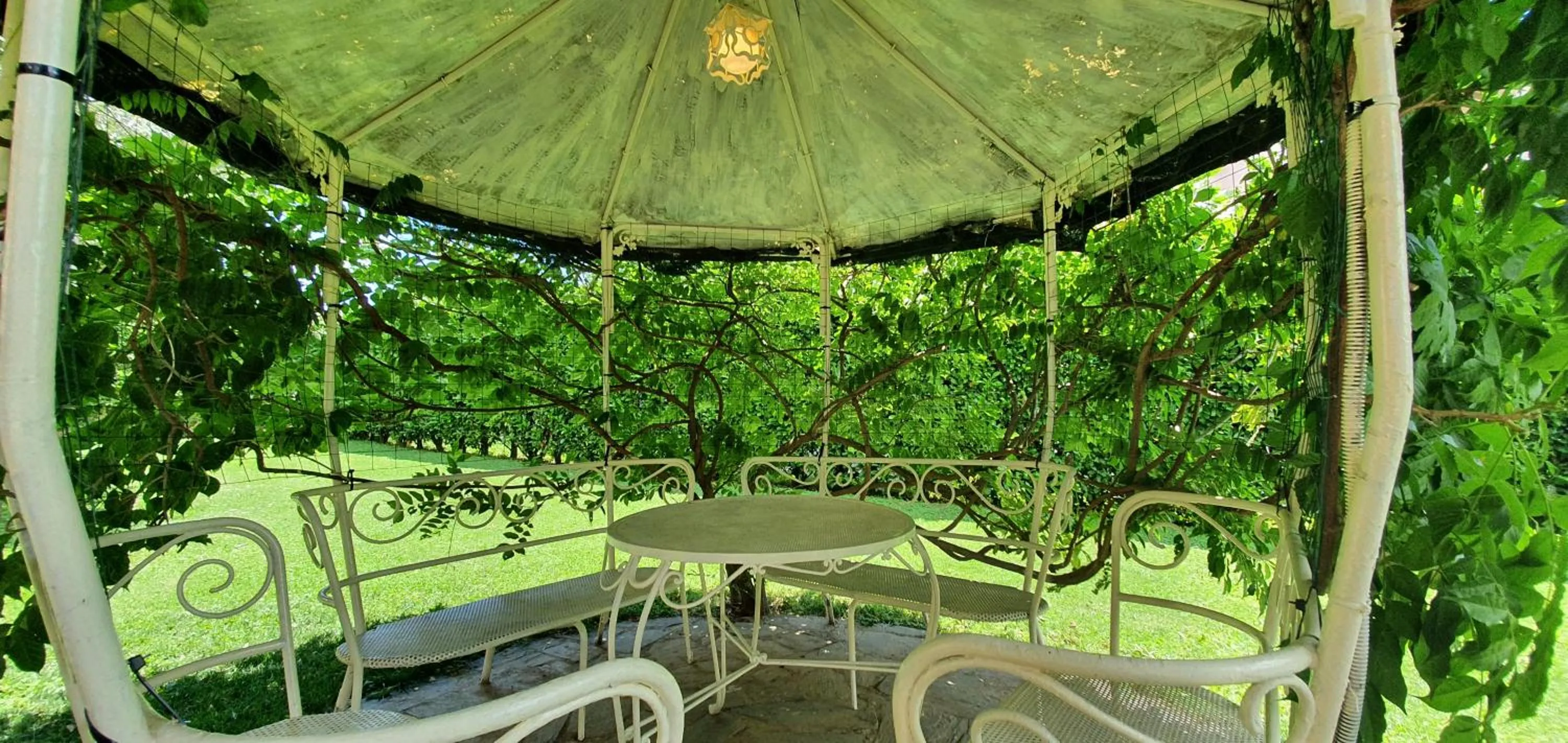 Garden view in B&B Le Palme