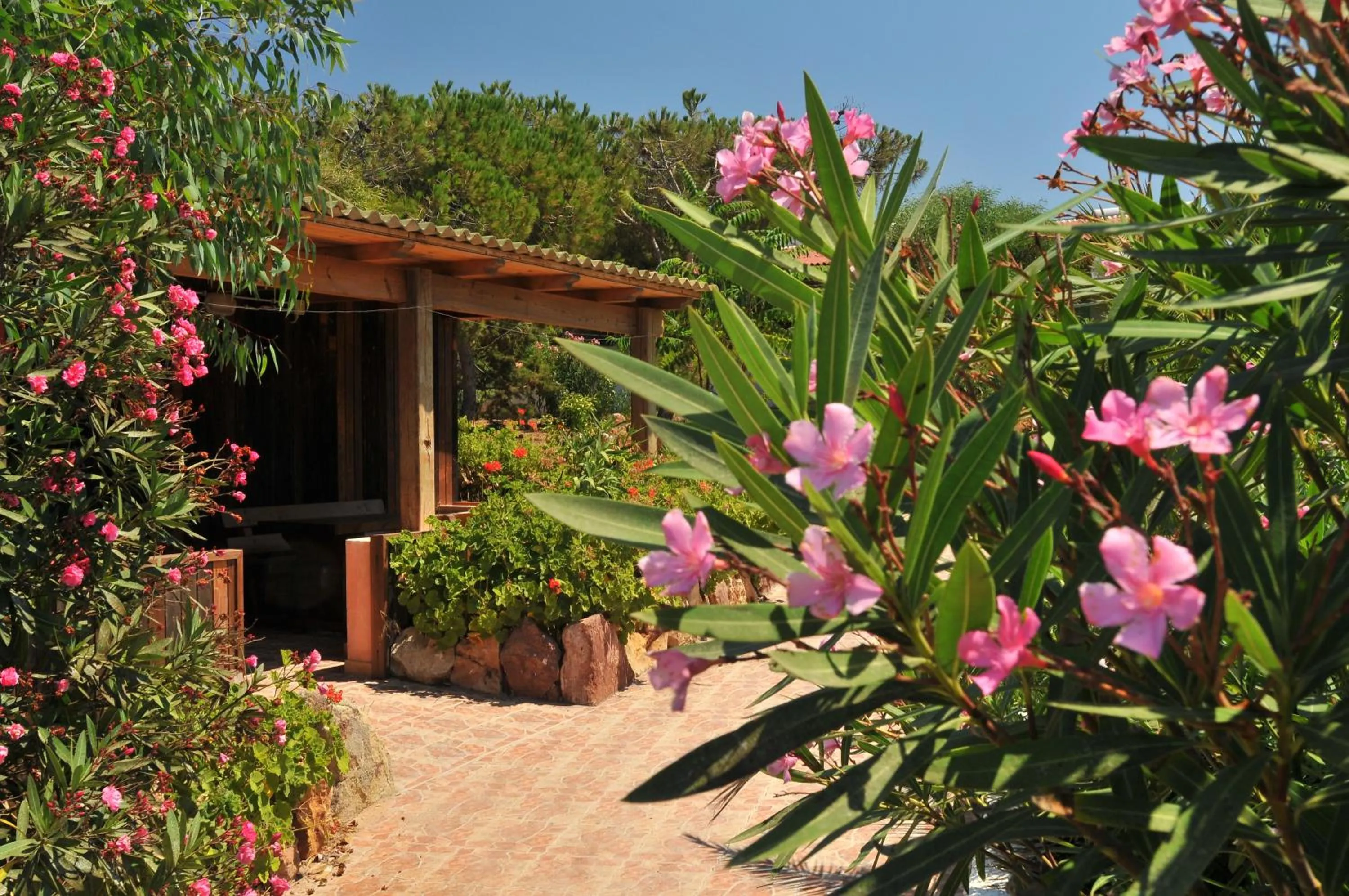 Facade/entrance in Villaggio Camping Torre Del Porticciolo