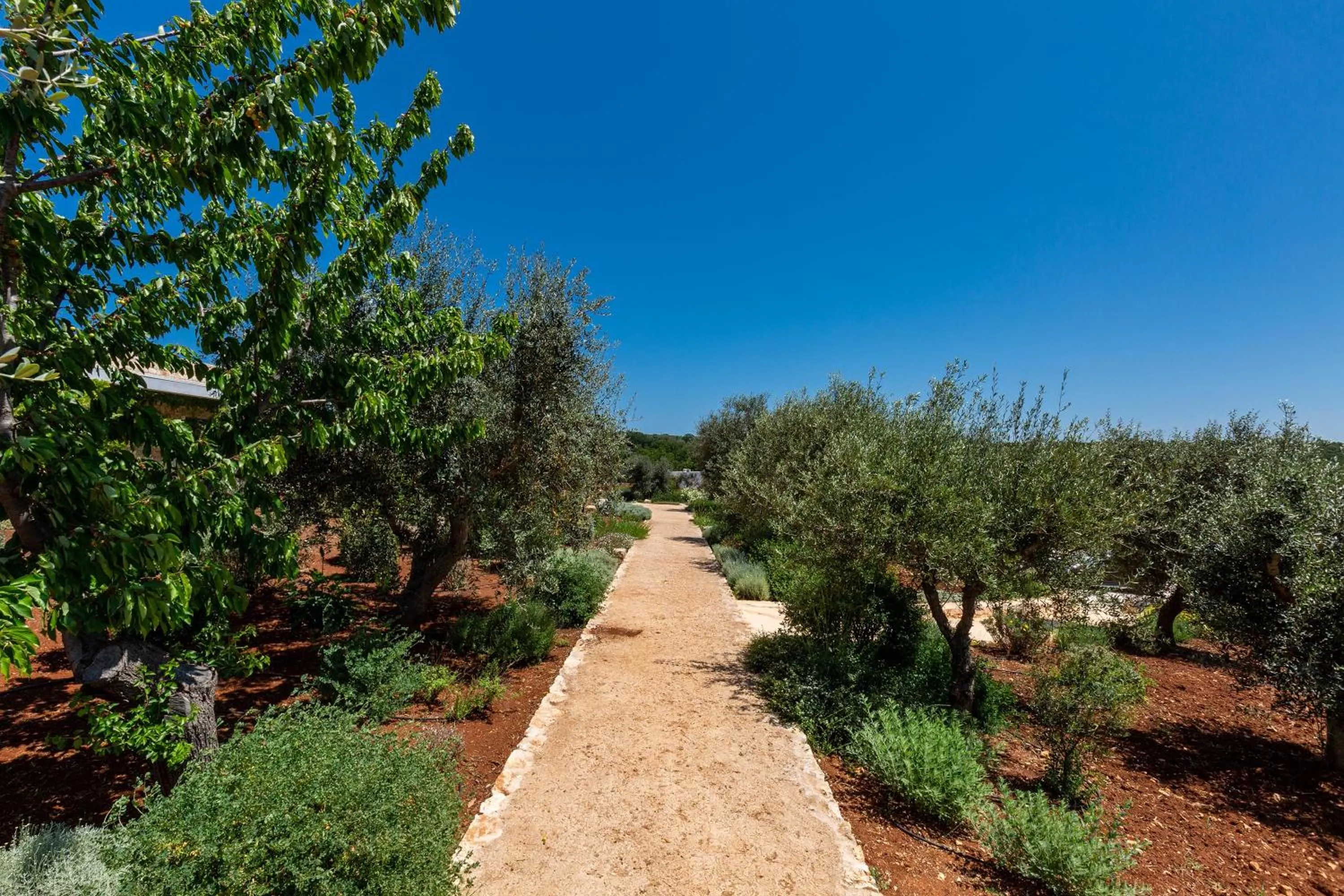 Garden in Le Ali Bianche by Perle di Puglia
