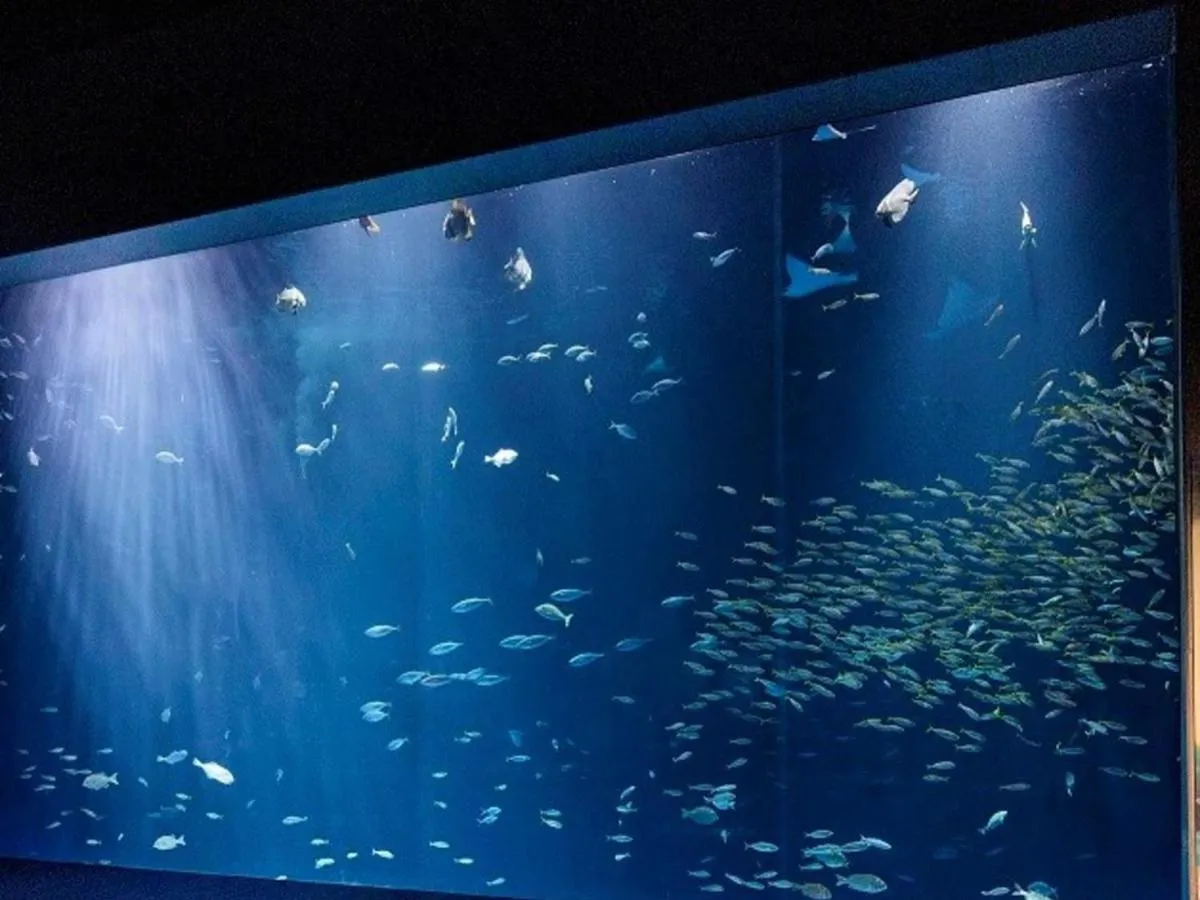 Nearby landmark in Zentsuji Grand Hotel