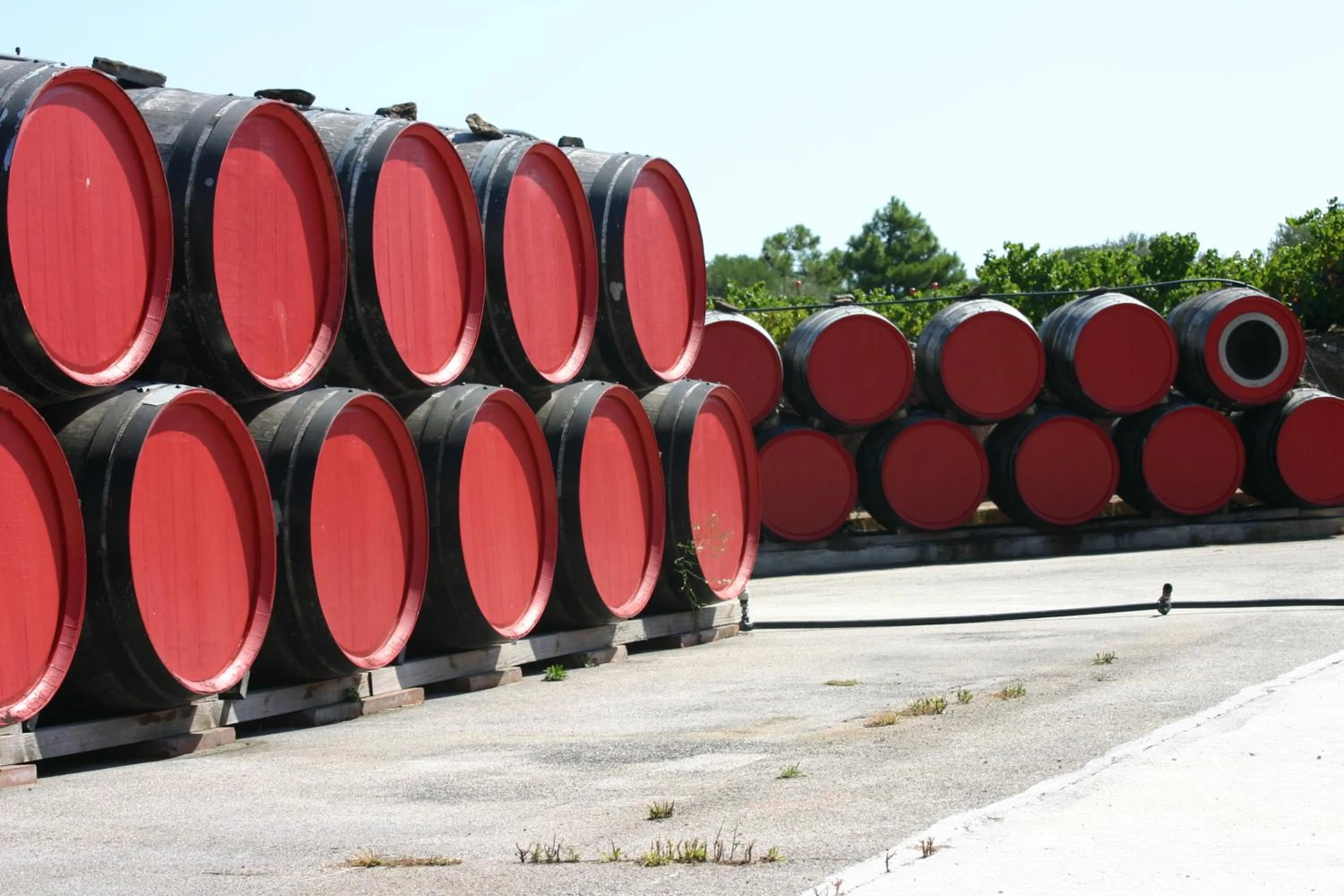 Nearby landmark in Hotel Sur Le Quai