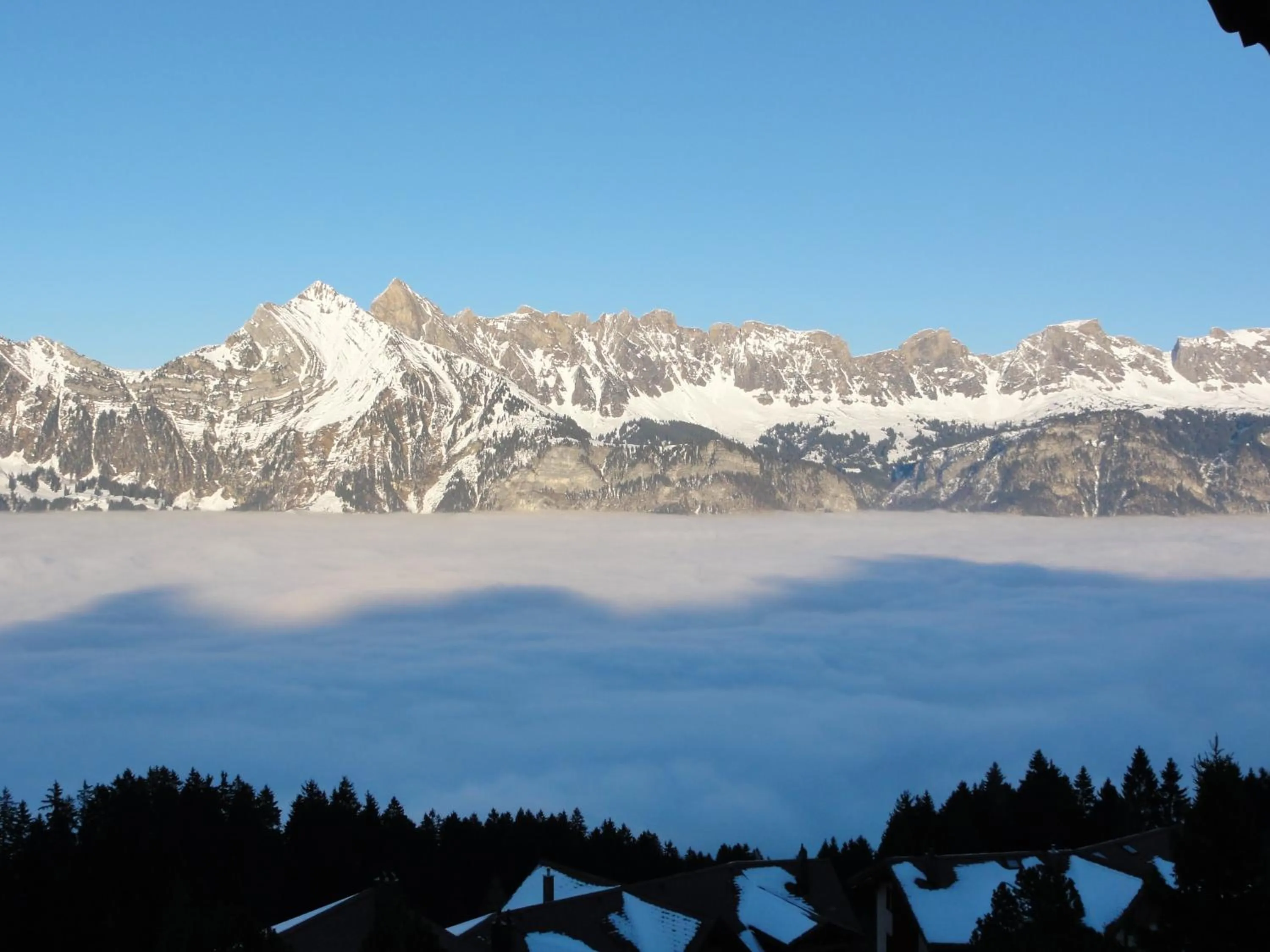 Natural landscape in Hotel Tannenboden