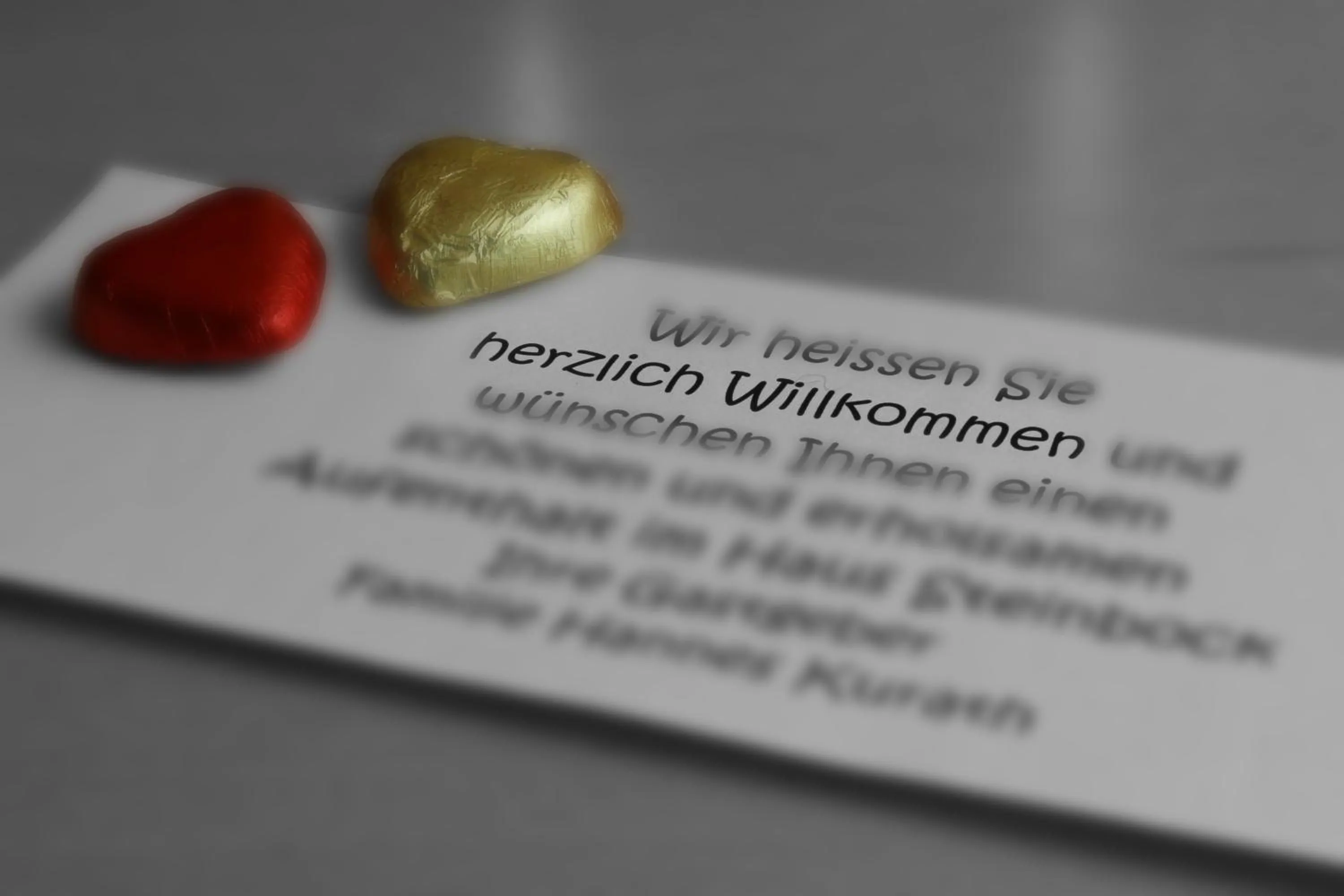 Decorative detail in Hotel Tannenboden