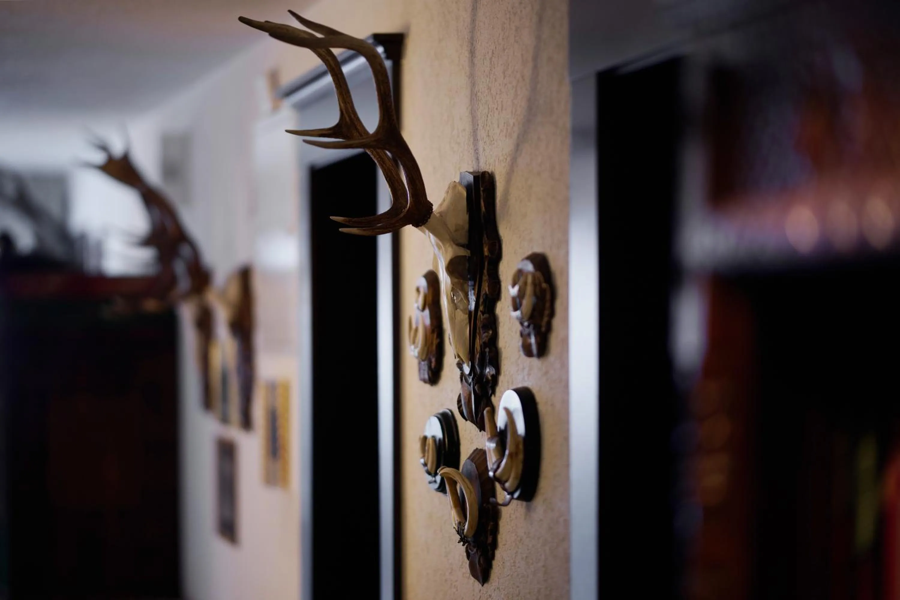 Landmark view in Haldenhof